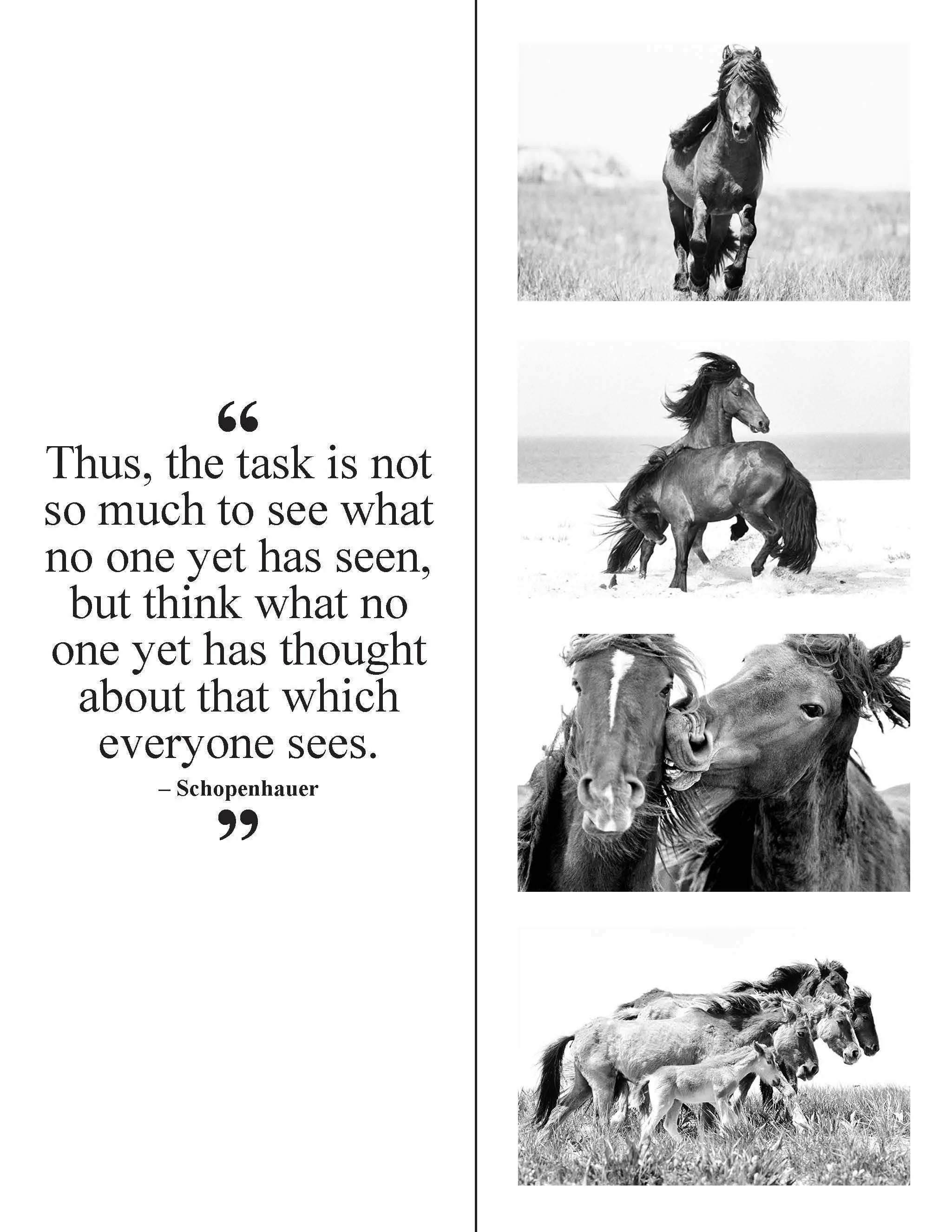 Program_WHOxWildHorses_Digital_Page_03.jpg