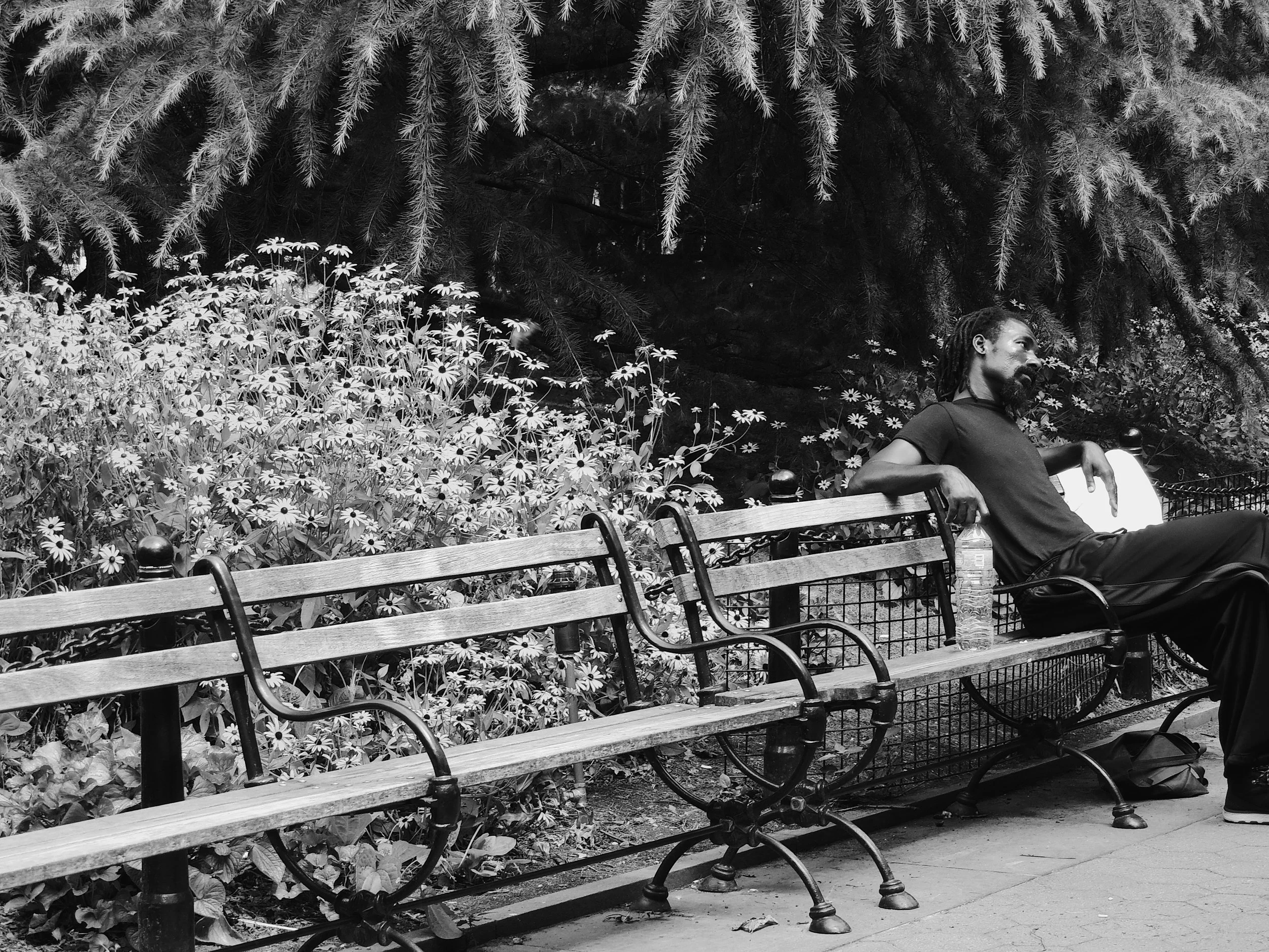 NYC 6.jpg