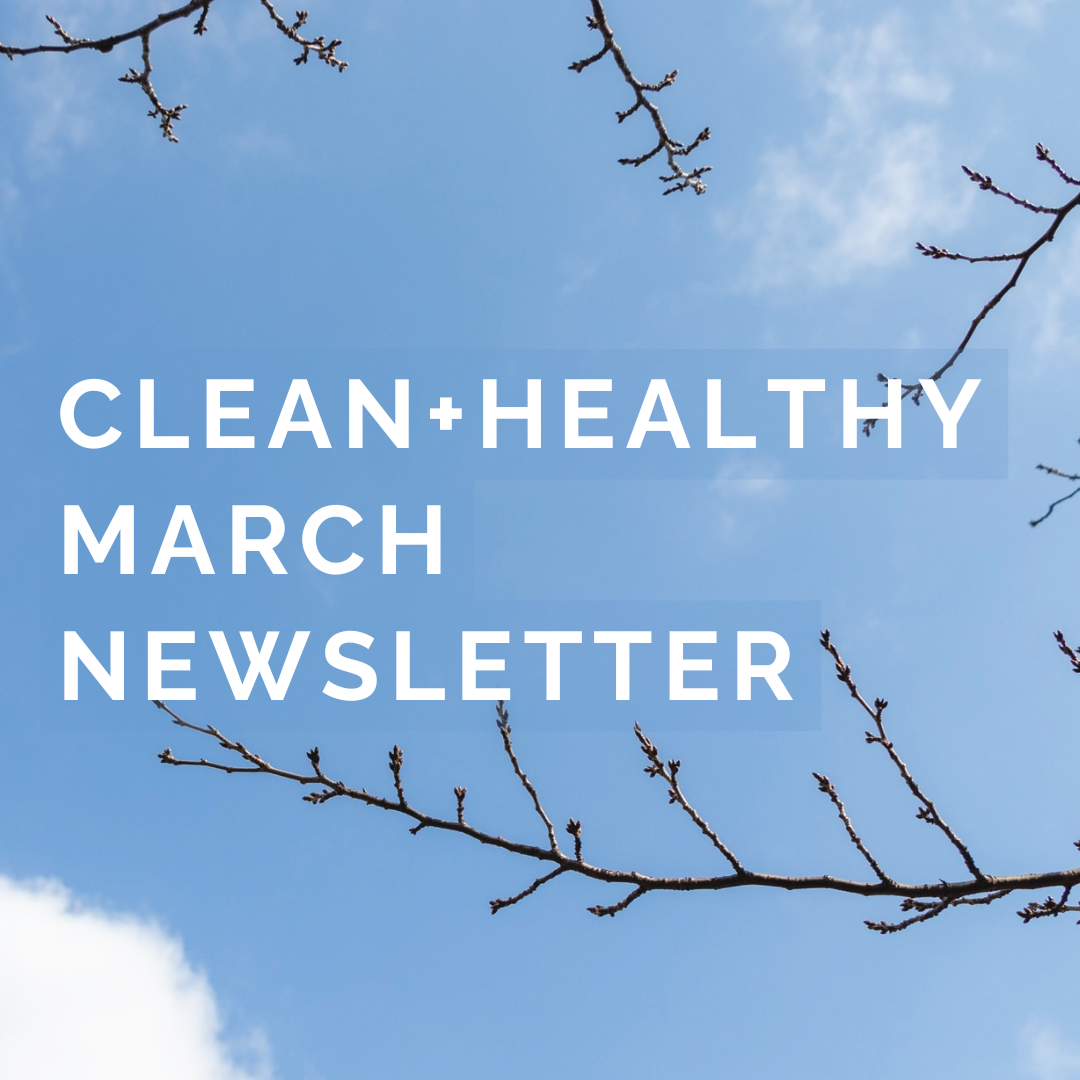 March 2026 Newsletter