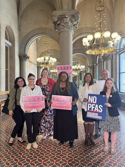 Advocates Urge Assembly to Protect New Yorkers from Toxic Chemicals Used in Everyday Products 