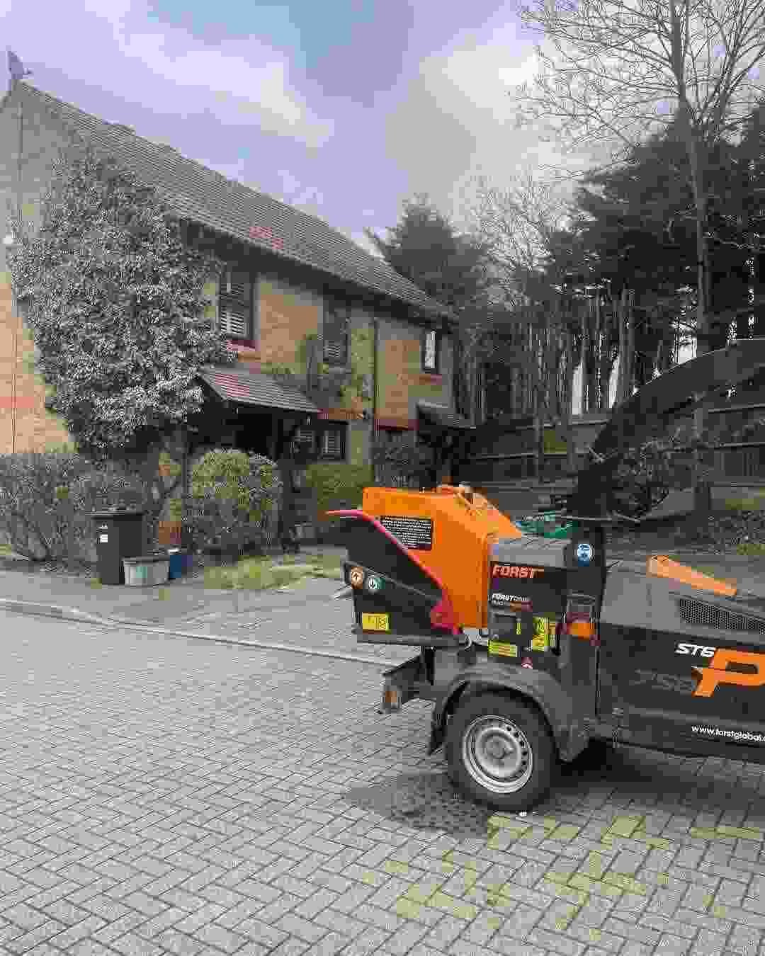 Removed Tree in Woodford.jpeg
