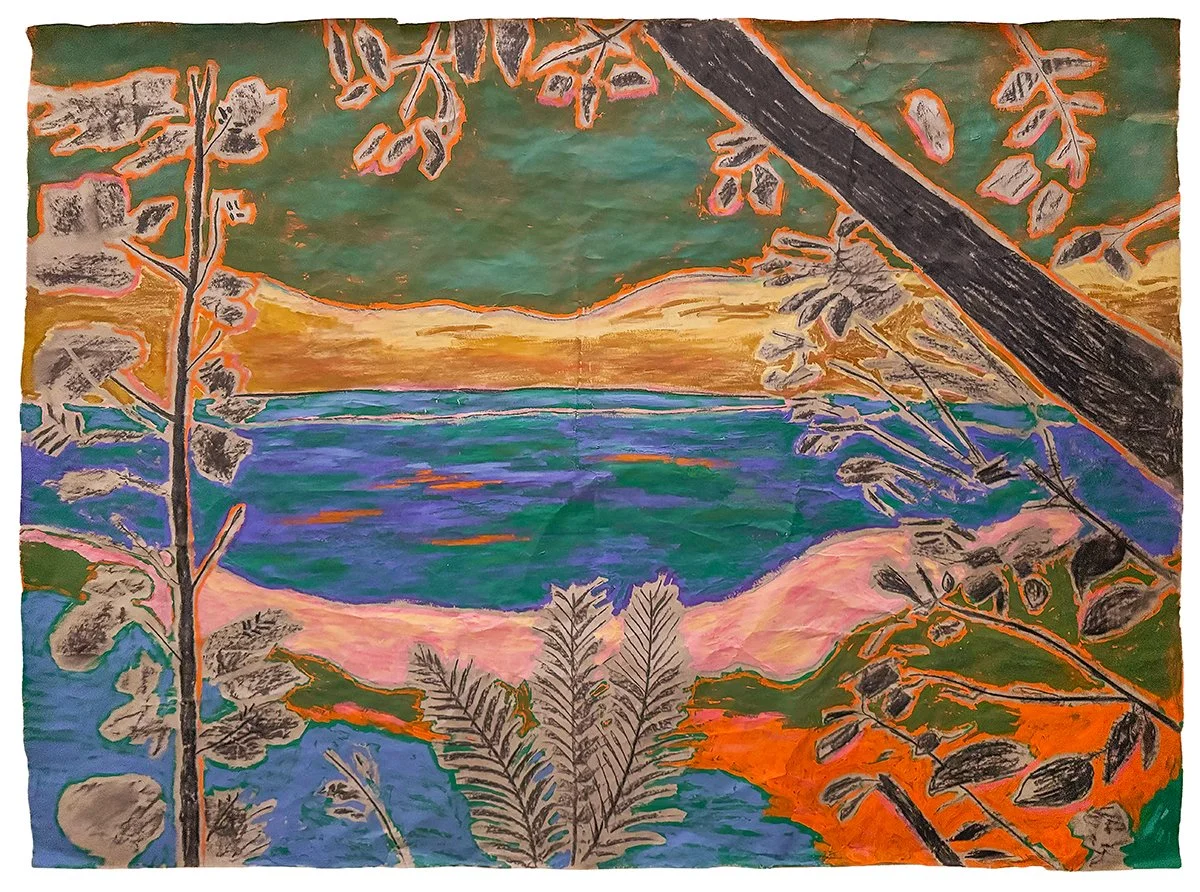  Nature’s Window  
Acrylic, charcoal & oil pastel on paper 
69 x 94 cm 
  