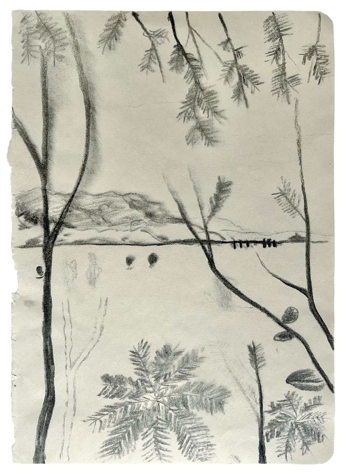  Thailand 4  
Charcoal on paper 
20,8 x 14,7 cm 
 Sold 