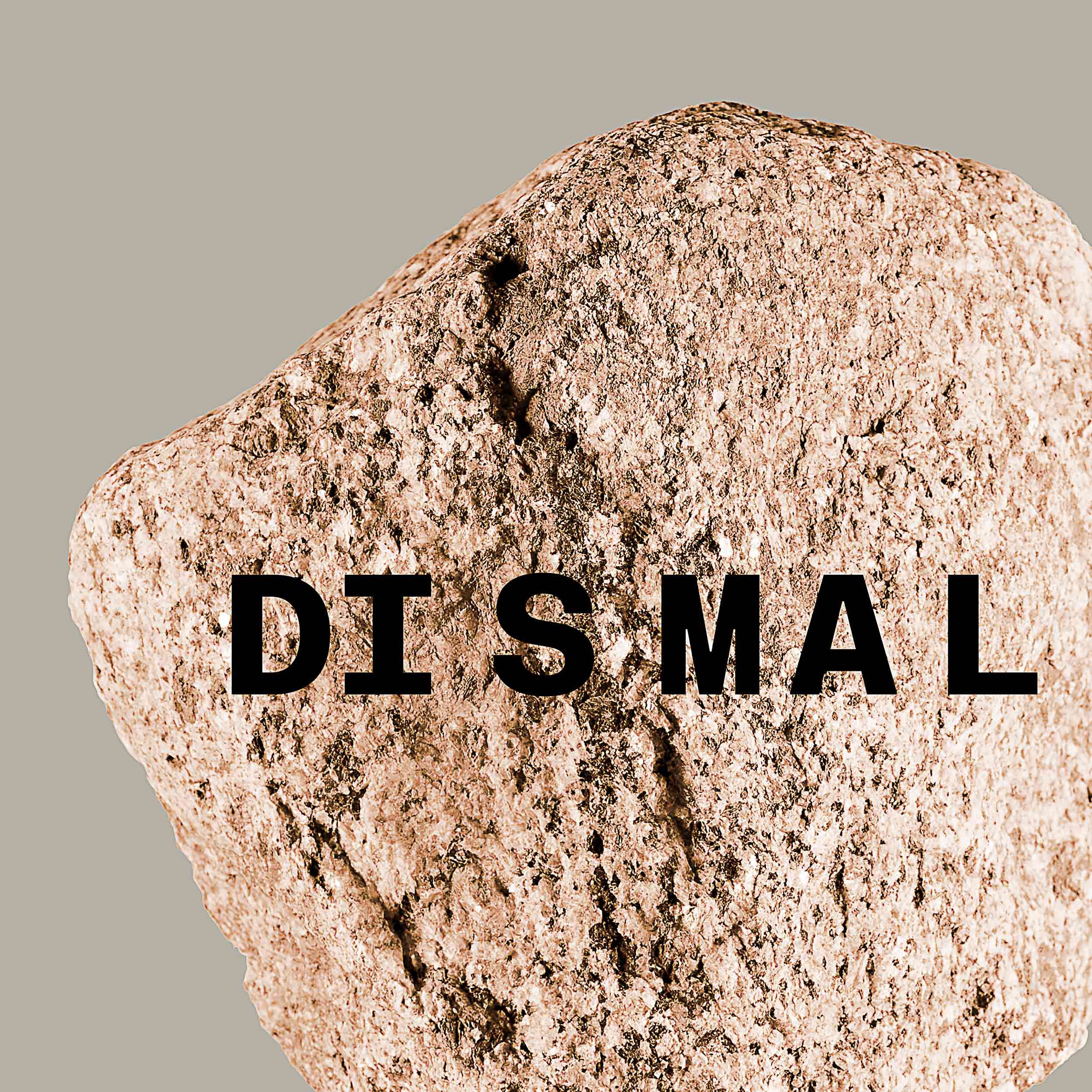 02-DISMAL.jpg