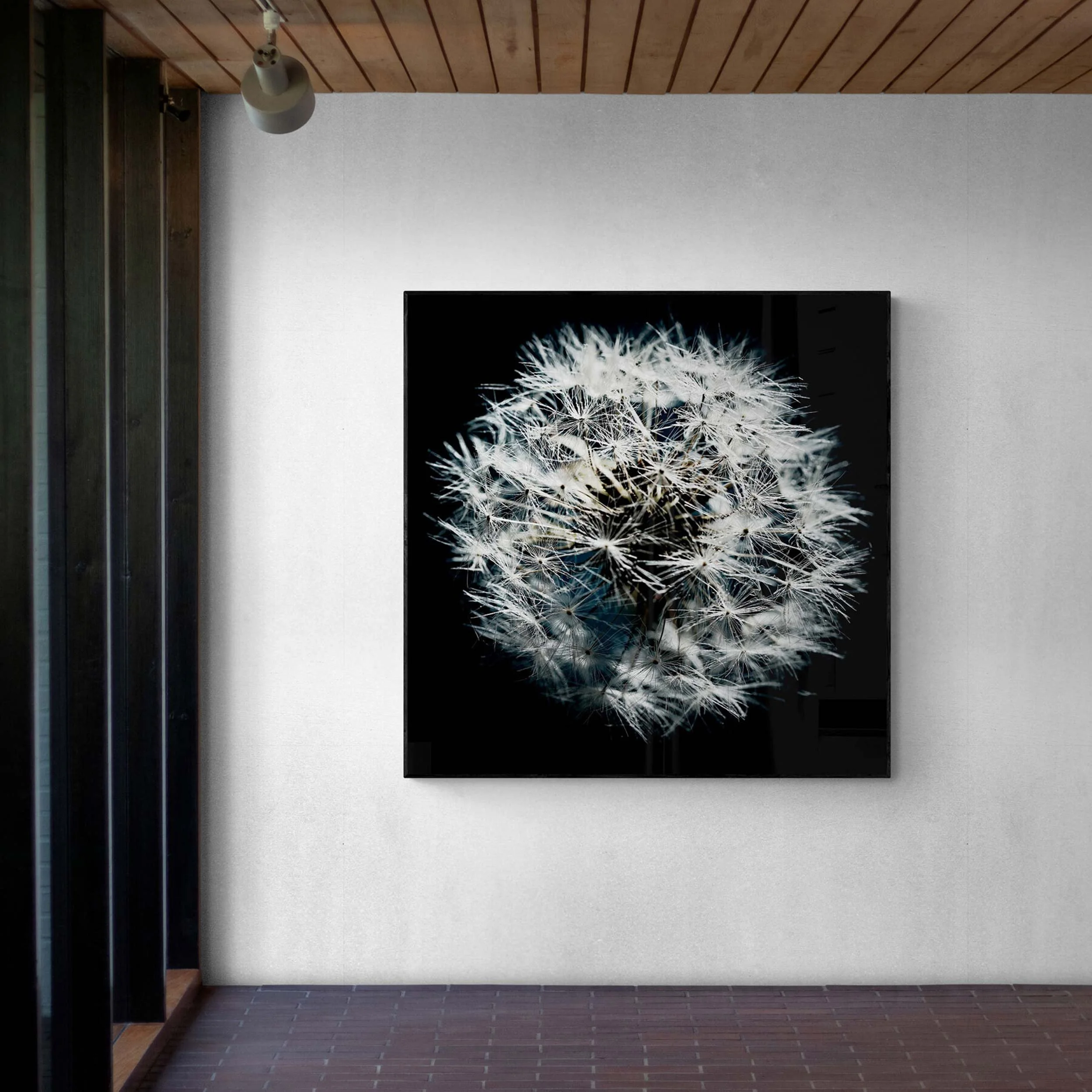 03-LARGE-SIZED-DANDELIONS-166.jpg