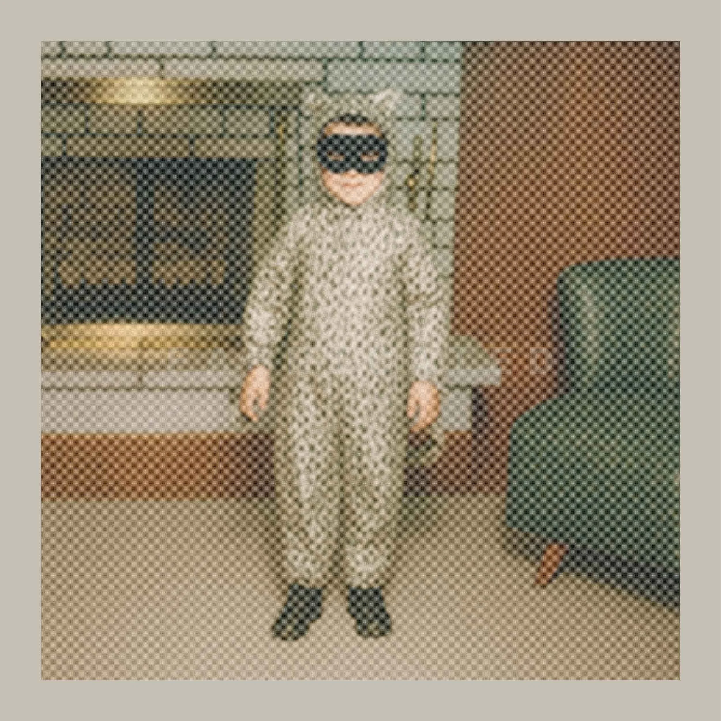 FABRICATED-KID-IN-LEOPARD-COSTUME.jpg
