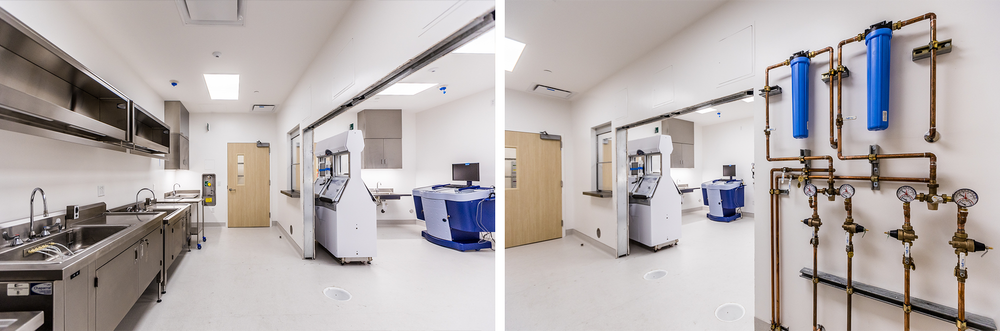 4-PNG-USC-Endoscopy.png