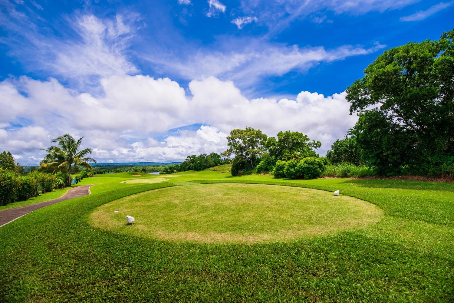 Atlanta-Land-Properties-Golf-Estate-Image-4.jpg
