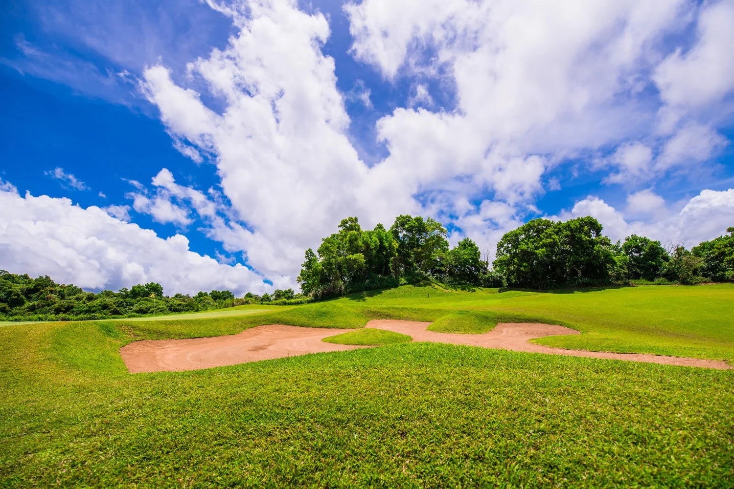 Atlanta-Land-Properties-Golf-Estate-Image-3.jpg