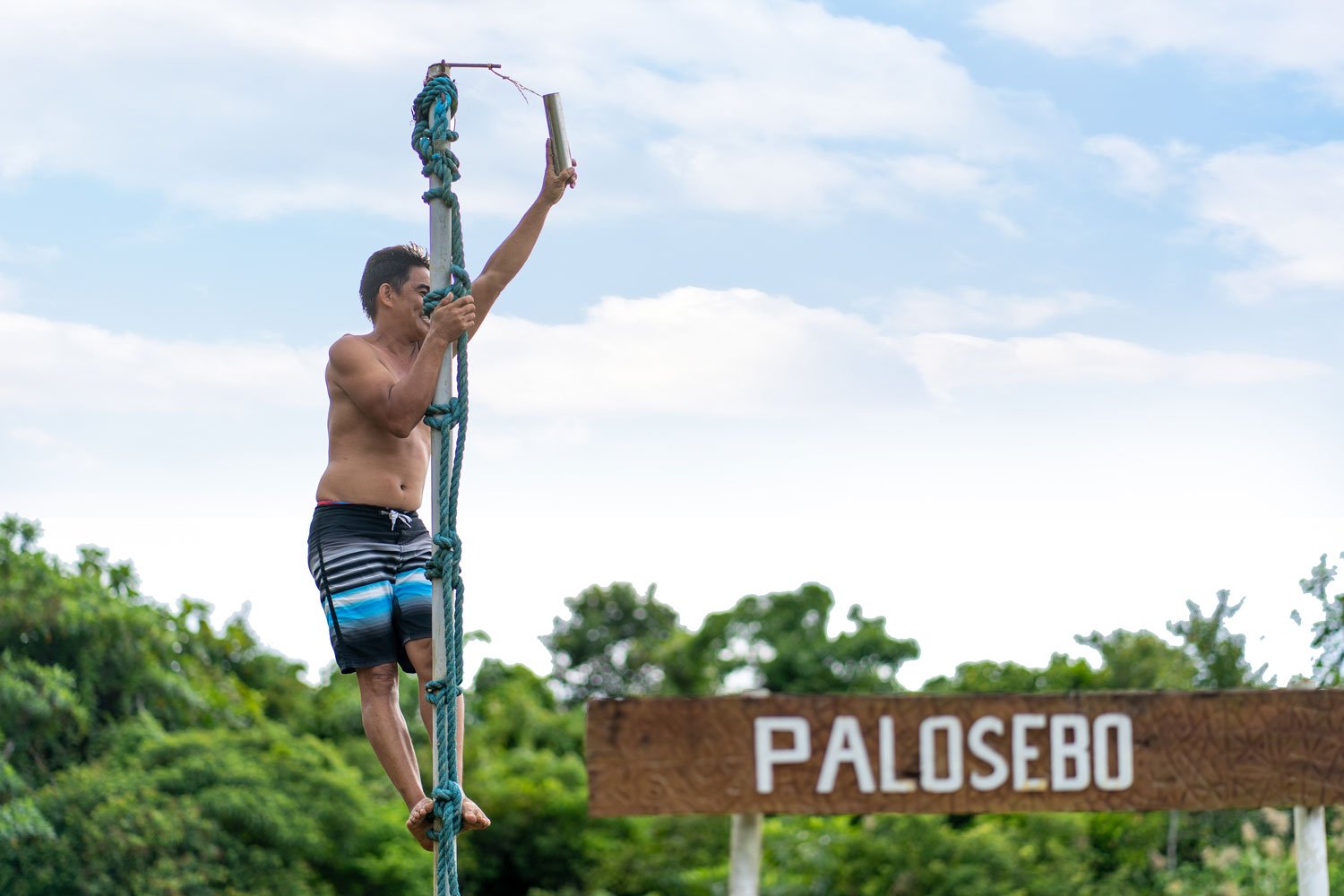 Palosebo