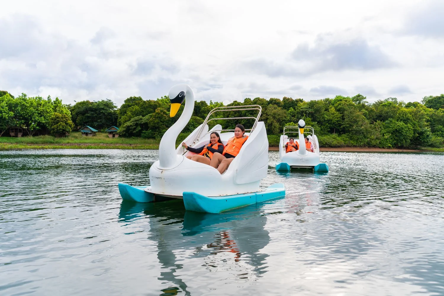 Swan boat