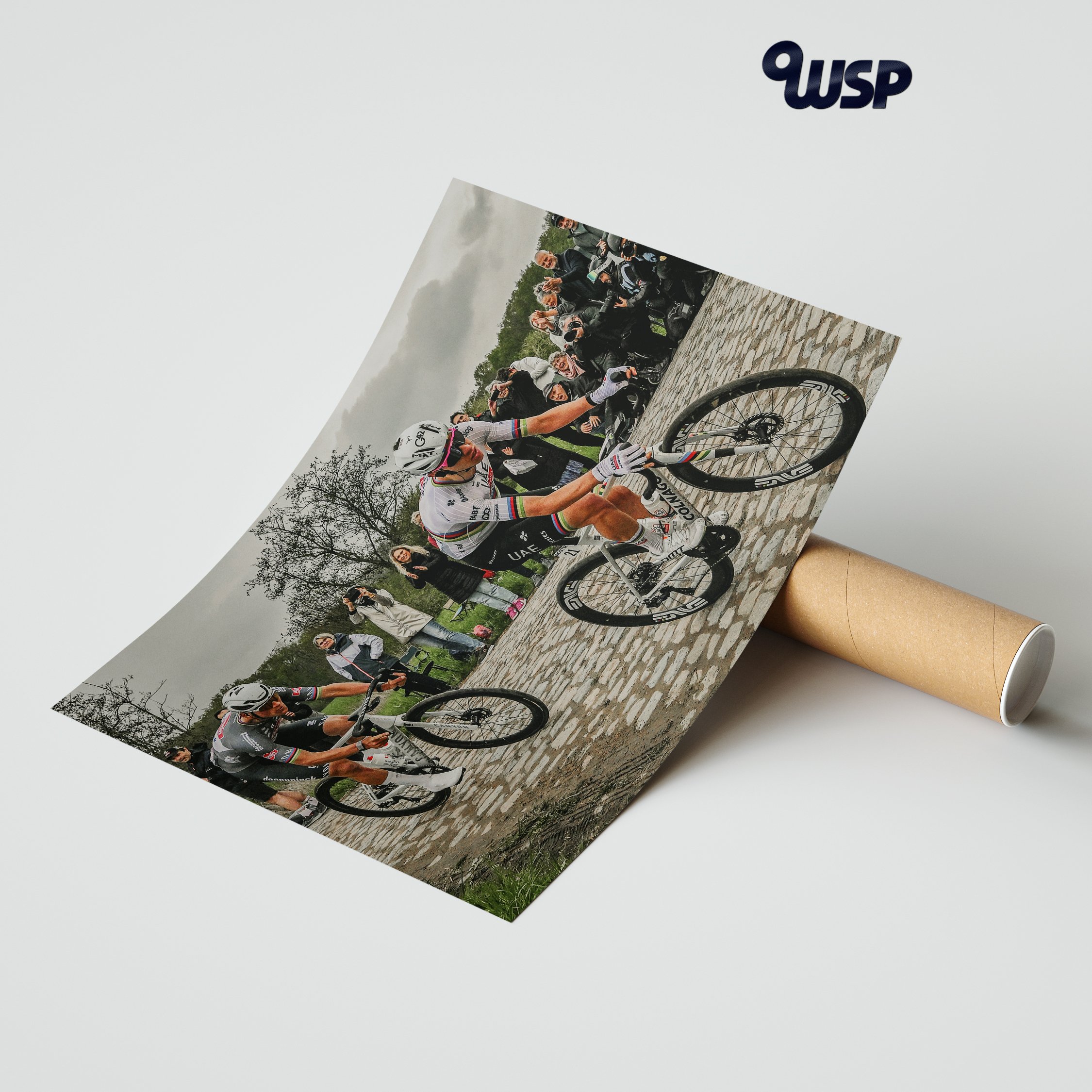 POGACAR VAN DER POEL TUBE.jpg