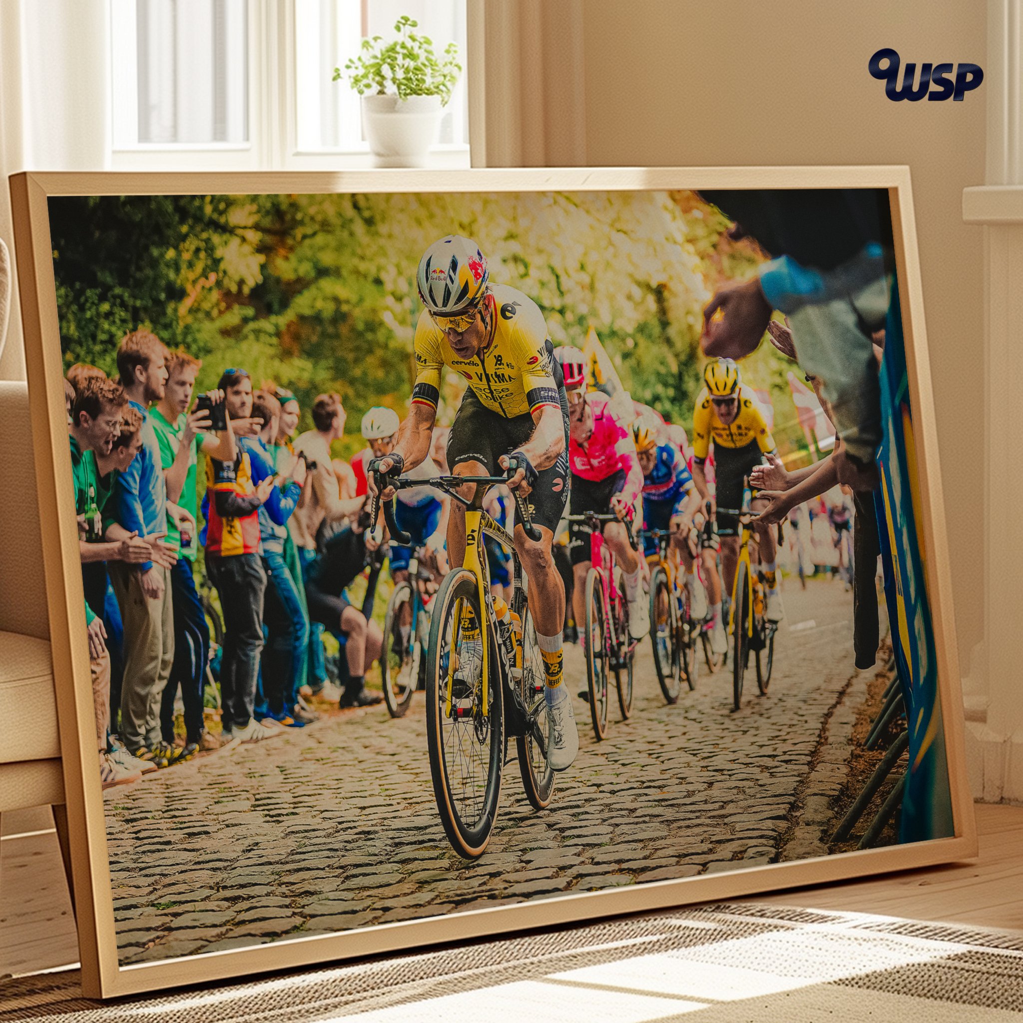 VAN AERT 1 PRINT H2.jpg