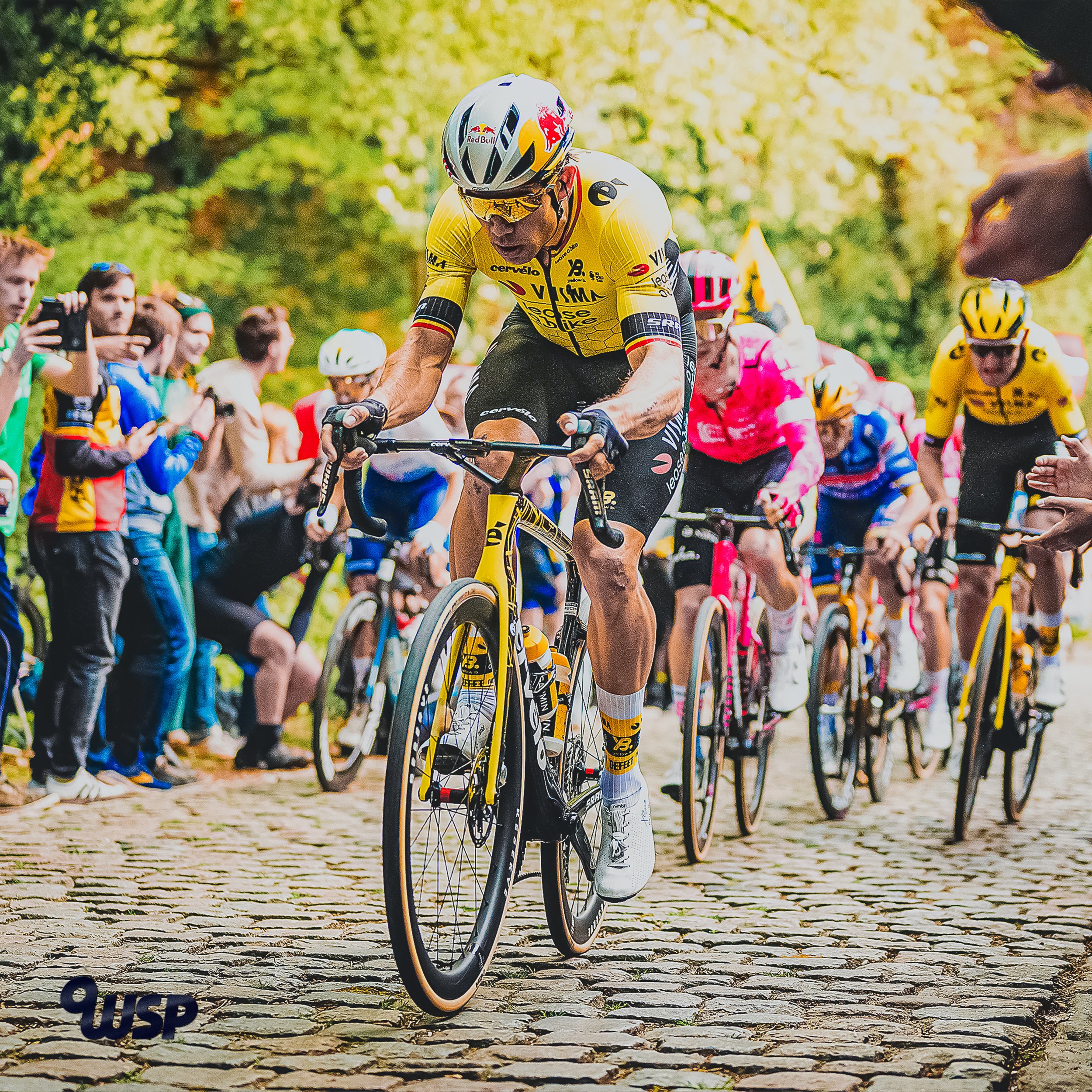 VAN AERT 1 ZOOM.jpg