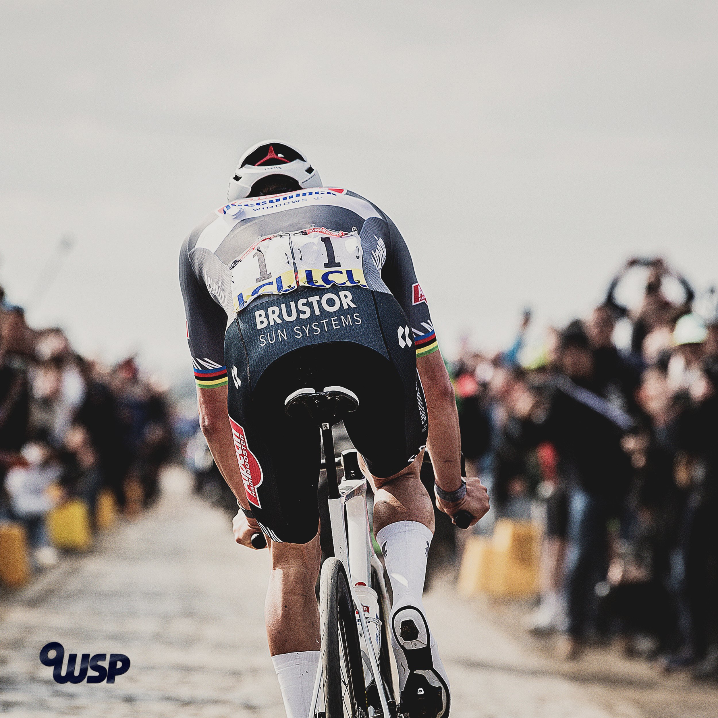 VAN DER POEL 2 ZOOM.jpg