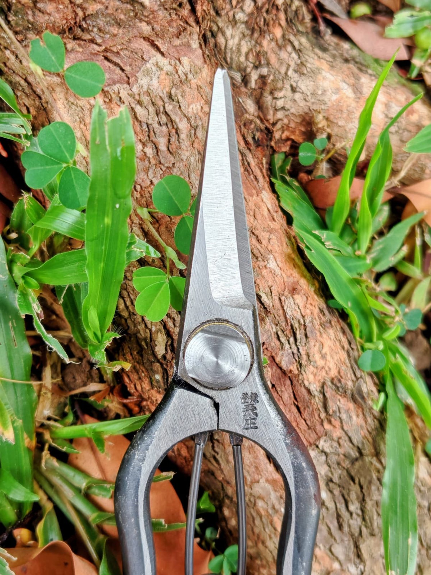 WhatsApp Image 2025-12-11 at 11.11.51 AM.jpeg