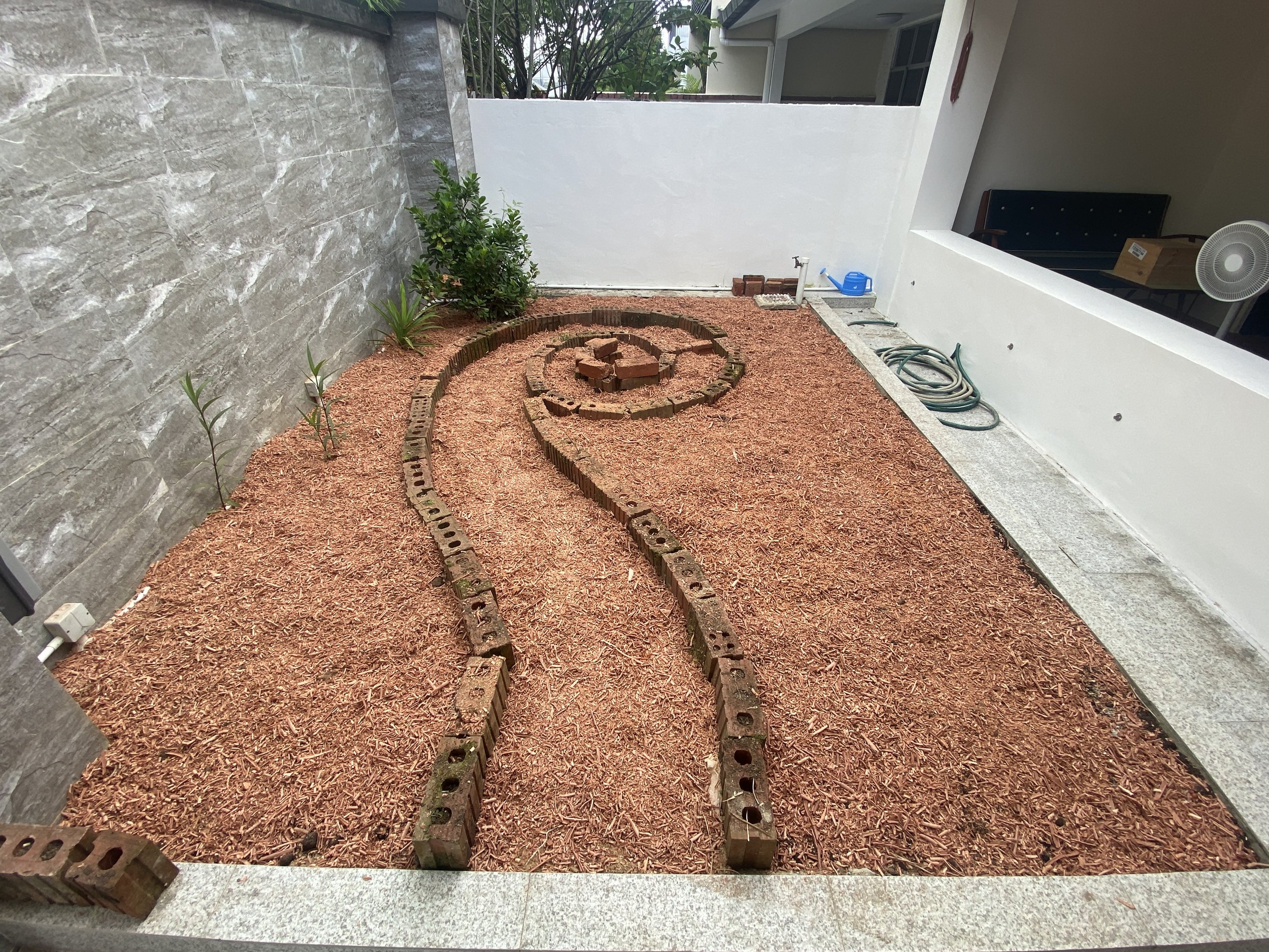 Wood shavings as mulch over legume seeds &amp; compost