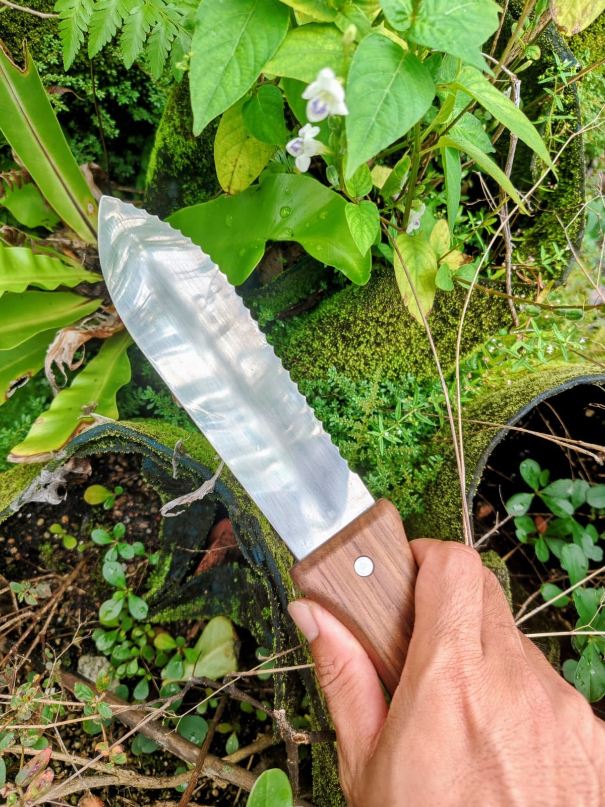 WhatsApp Image 2025-12-11 at 11.32.49 AM.jpeg