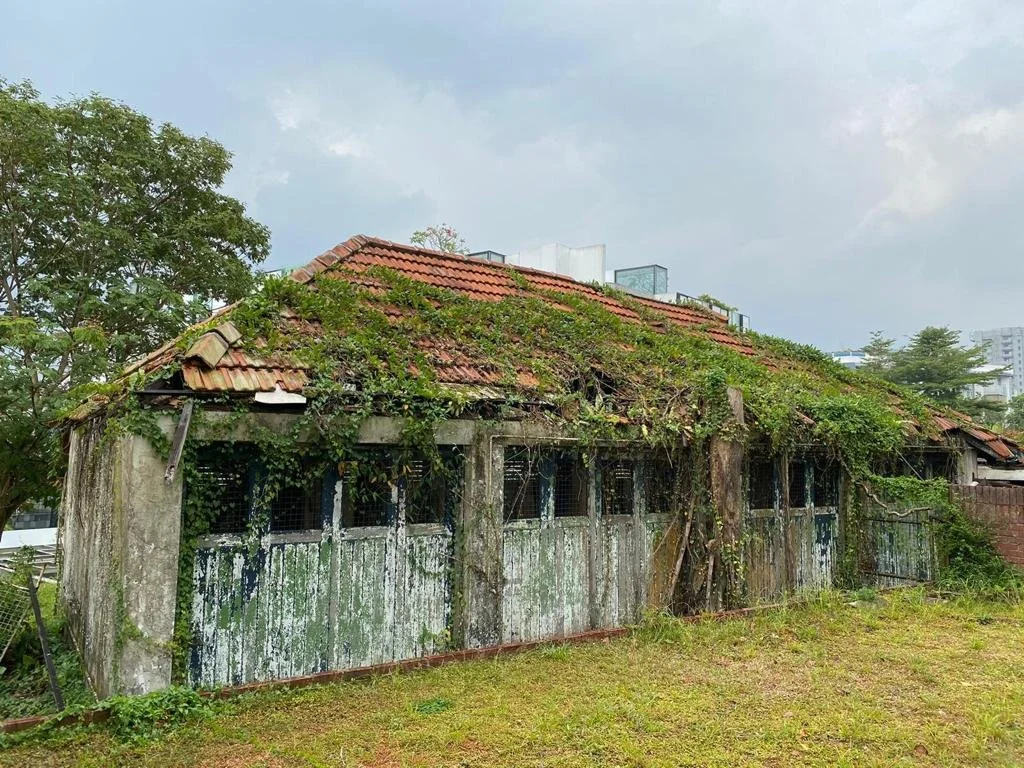 WhatsApp Image 2022-08-11 at 10.17.42 AM (4).jpeg