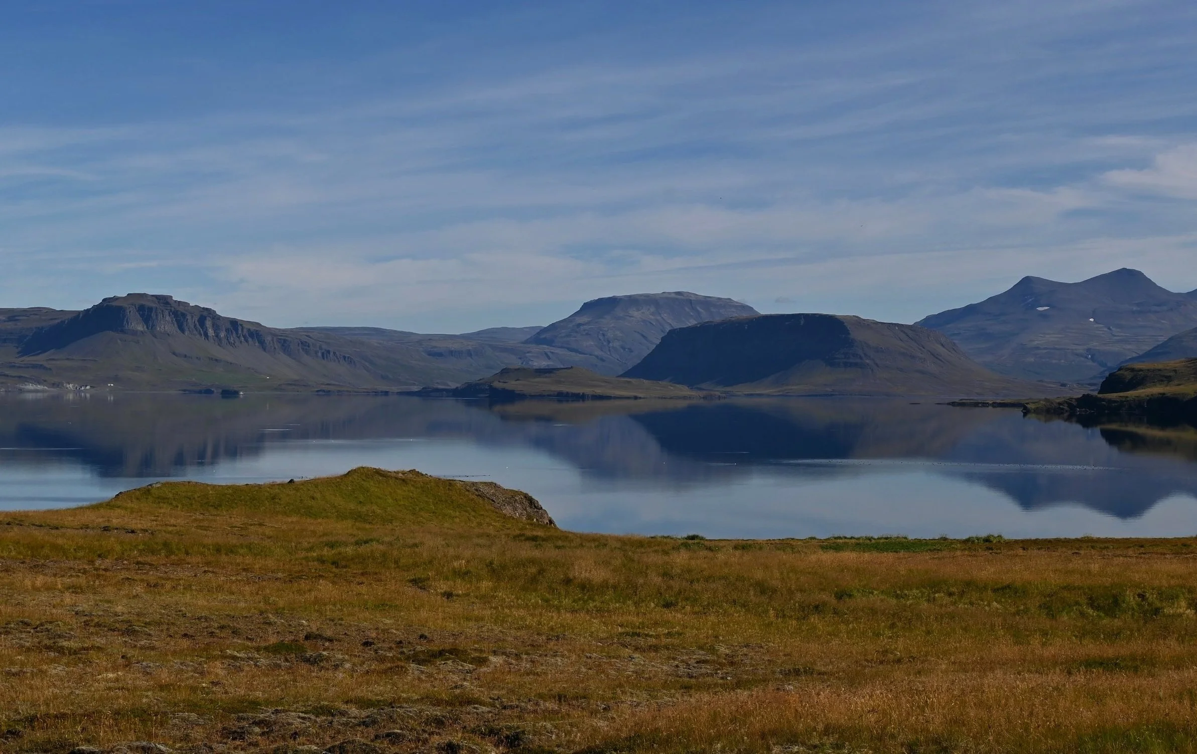 DSC_5315.jpg