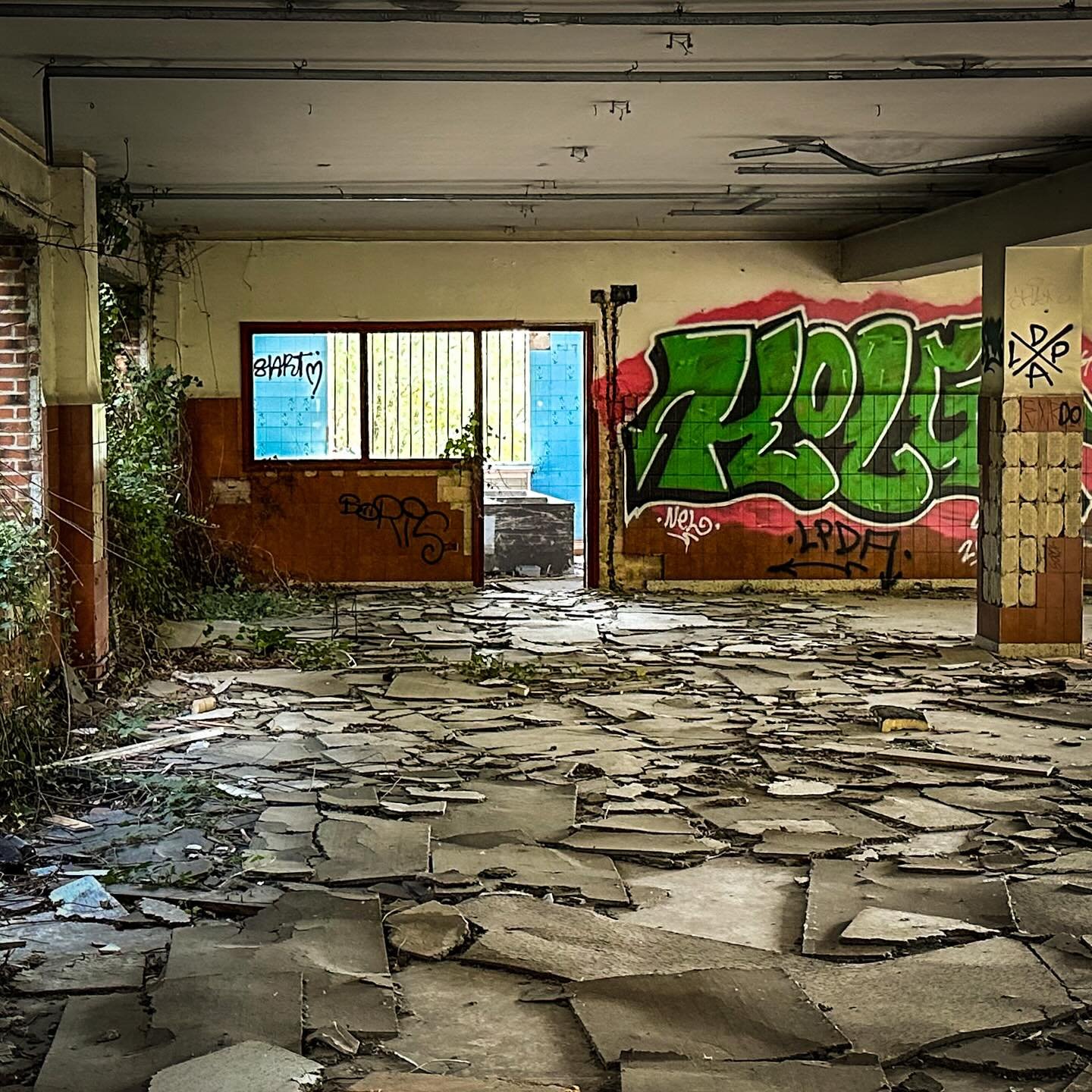 Beauty in destruction. 

#tv_hiddenbeauty 
#exposure_urbex 
#nature_takes_over 
#exposure_nature 
#urbexhero
#diamonds_of_urbex
#urbex_queens_
#global_urbex
#the_mega_urbex_challenge
#feature_urbex_king
#total_abandoned
#kings_abandoned
#urbex_world_