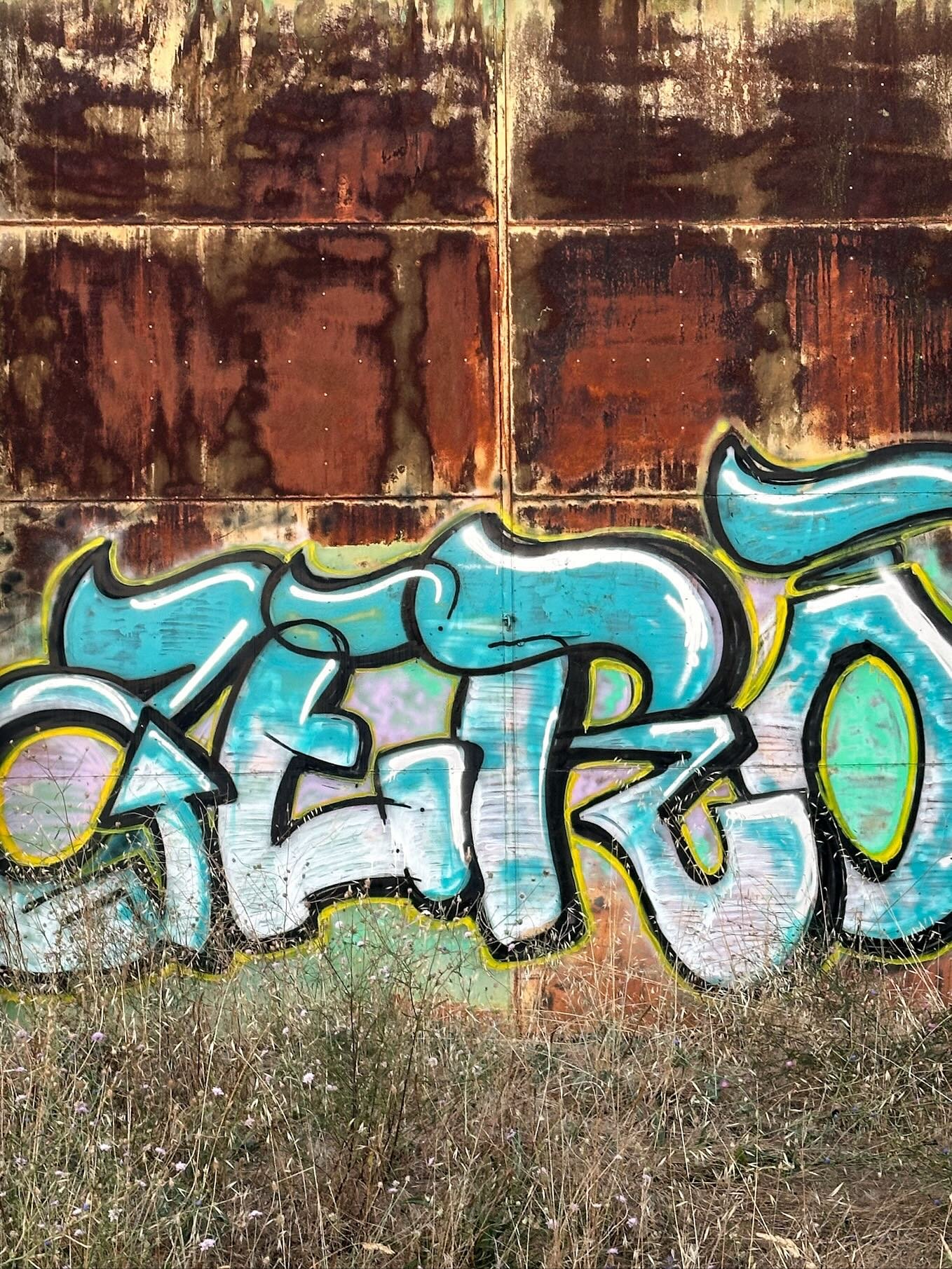 Hidden beauty. 

Member:
@urbexhero
@patina_transport
@exposure_transports
@backroad_visions #brvvip

Also featured by:
@exposure_urbex
@exposure_midnight_
@global_urbex
@nature_takes_over
@renegade_abandoned
@renegade_rides
@renegade_dark
@rusted_in