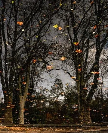 More reflection pics.

Member:
@urbexhero
@patina_transport
@exposure_transports
@backroad_visions 

Also featured by:
@exposure_urbex
@exposure_midnight_
@global_urbex
@nature_takes_over
@renegade_abandoned
@renegade_rides
@renegade_dark
@unforgotte