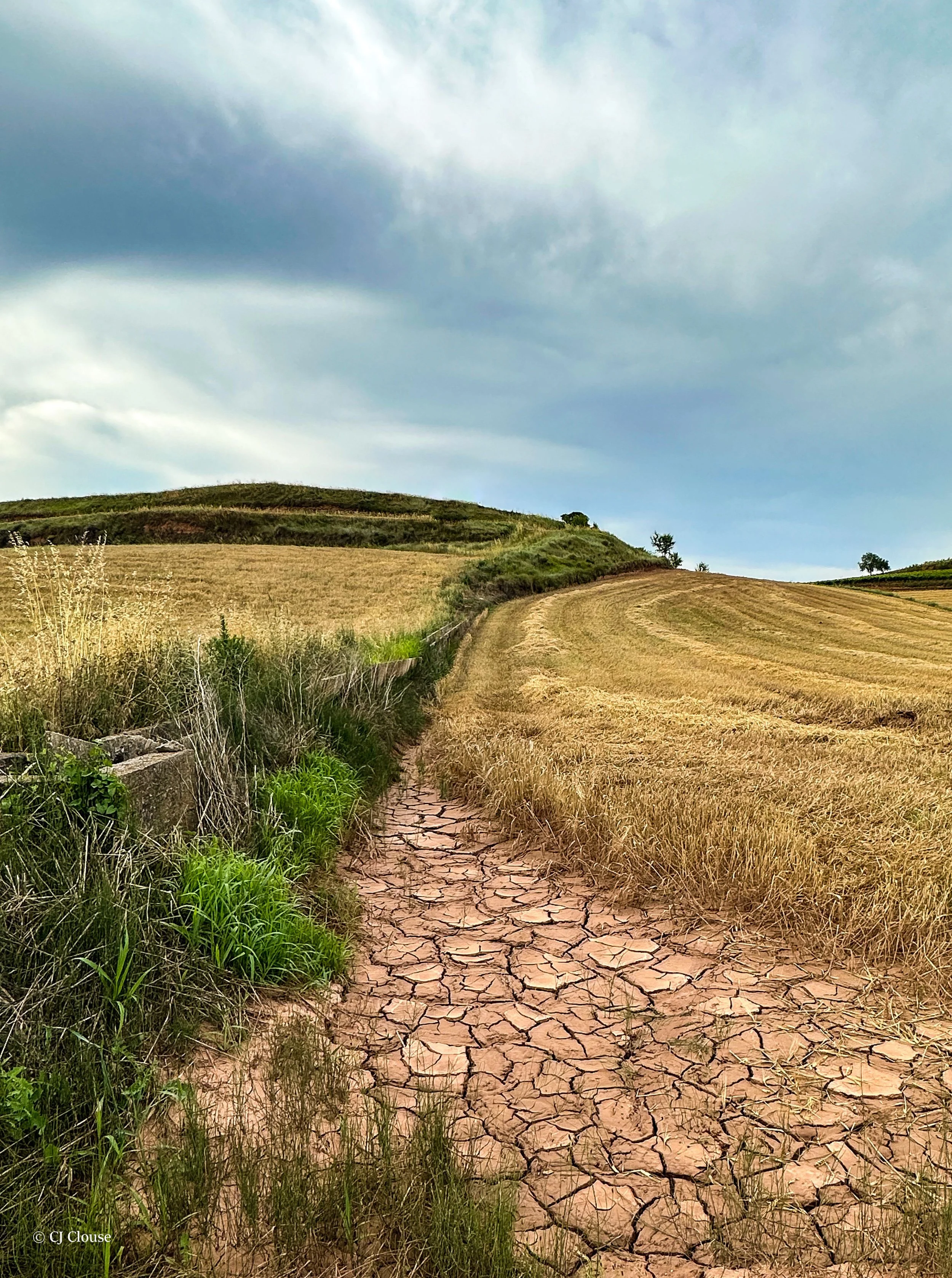 el camino dry .jpg