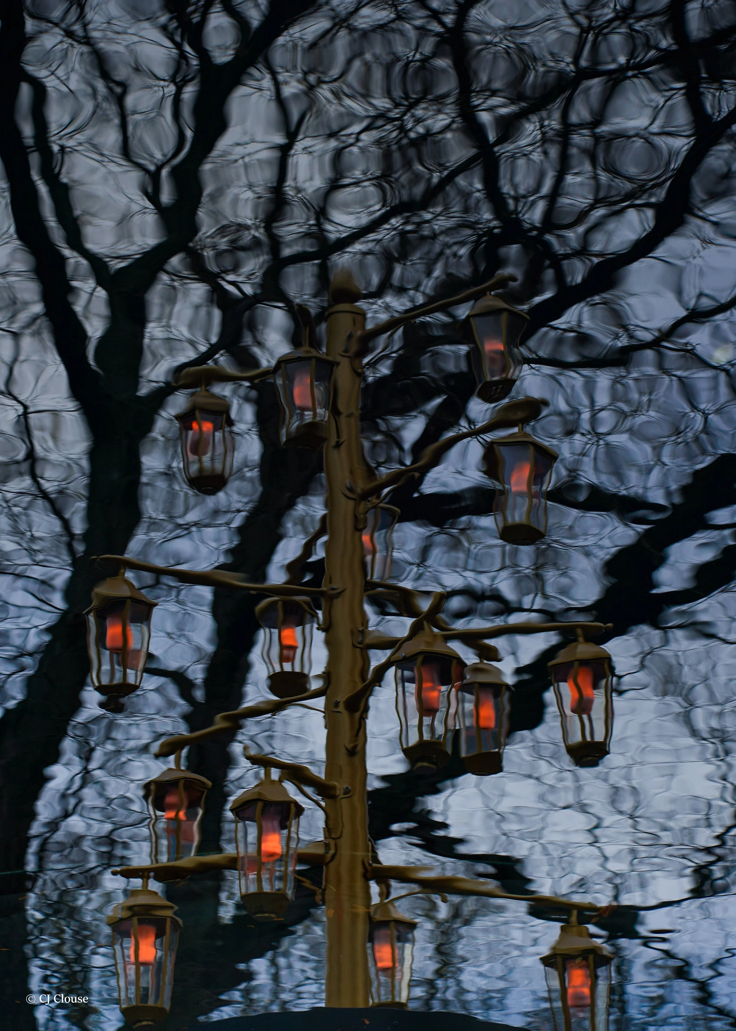 Botanical gardens 3.jpg