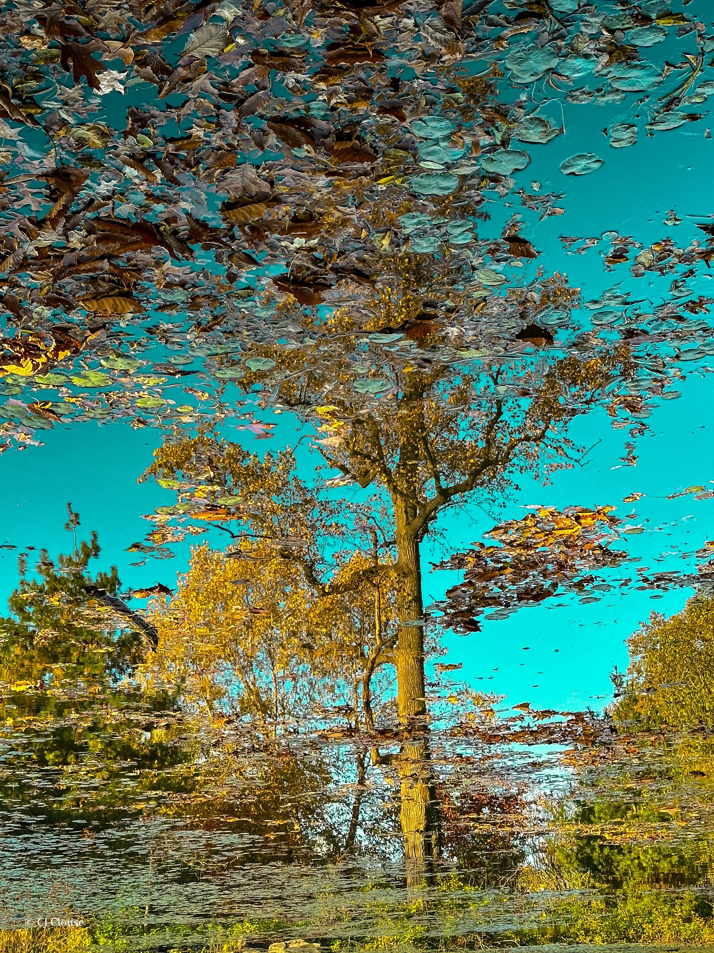 prospect reflections 1.jpg