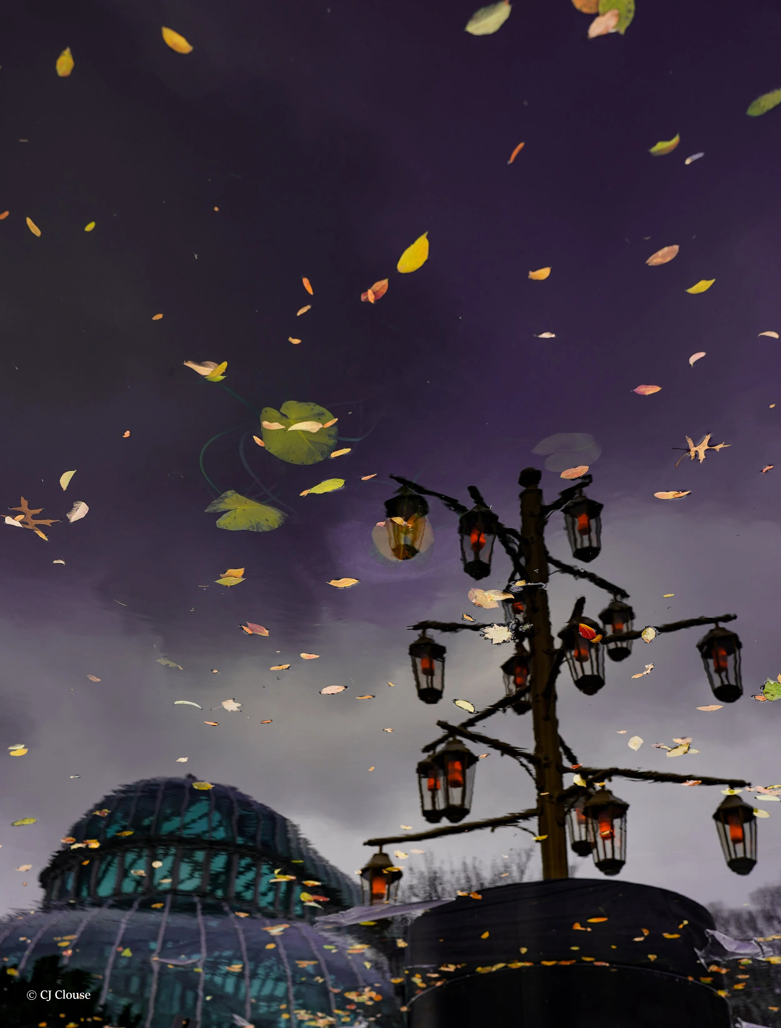 botanical gardens 2.jpg