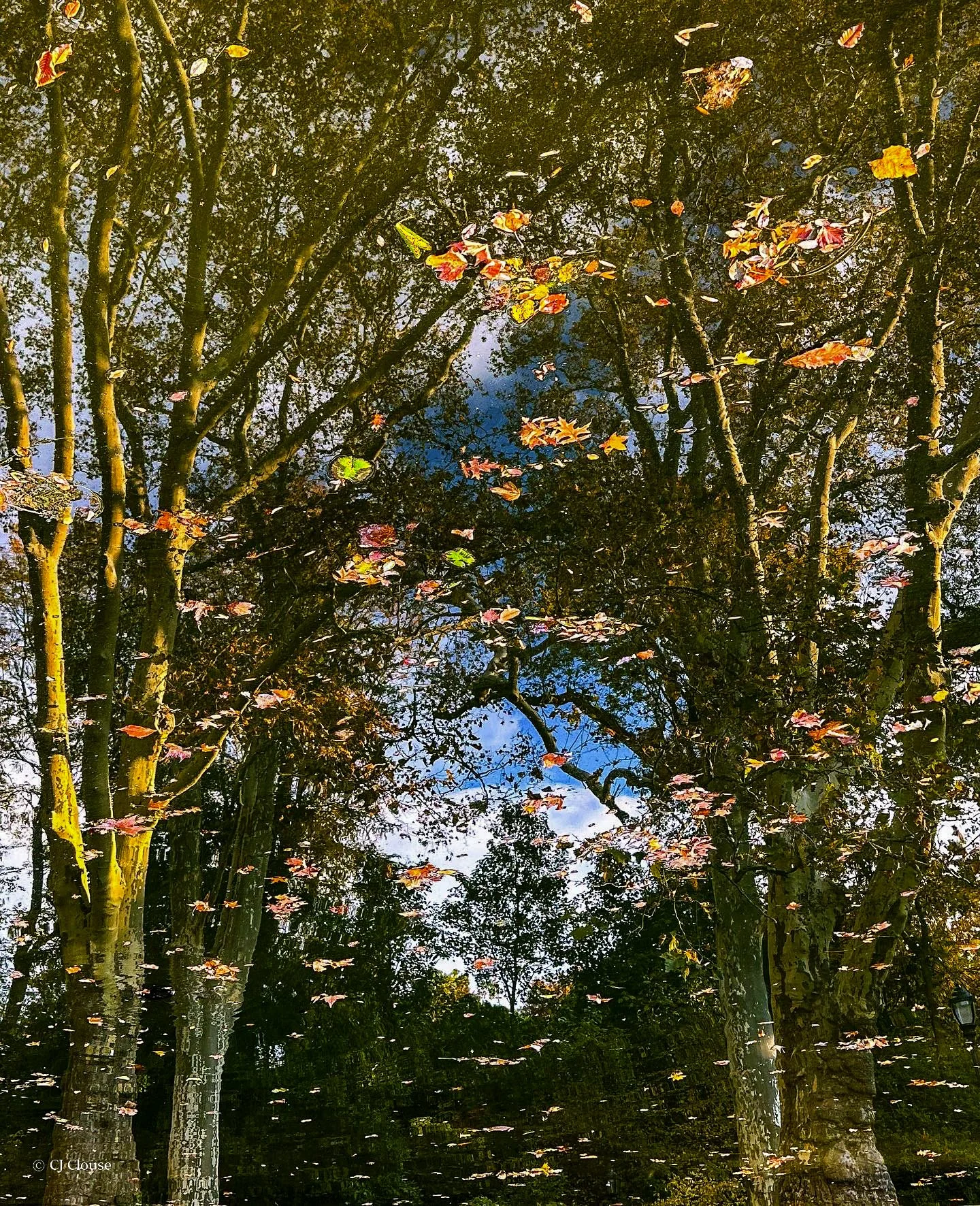 Prospect reflections 2.jpg