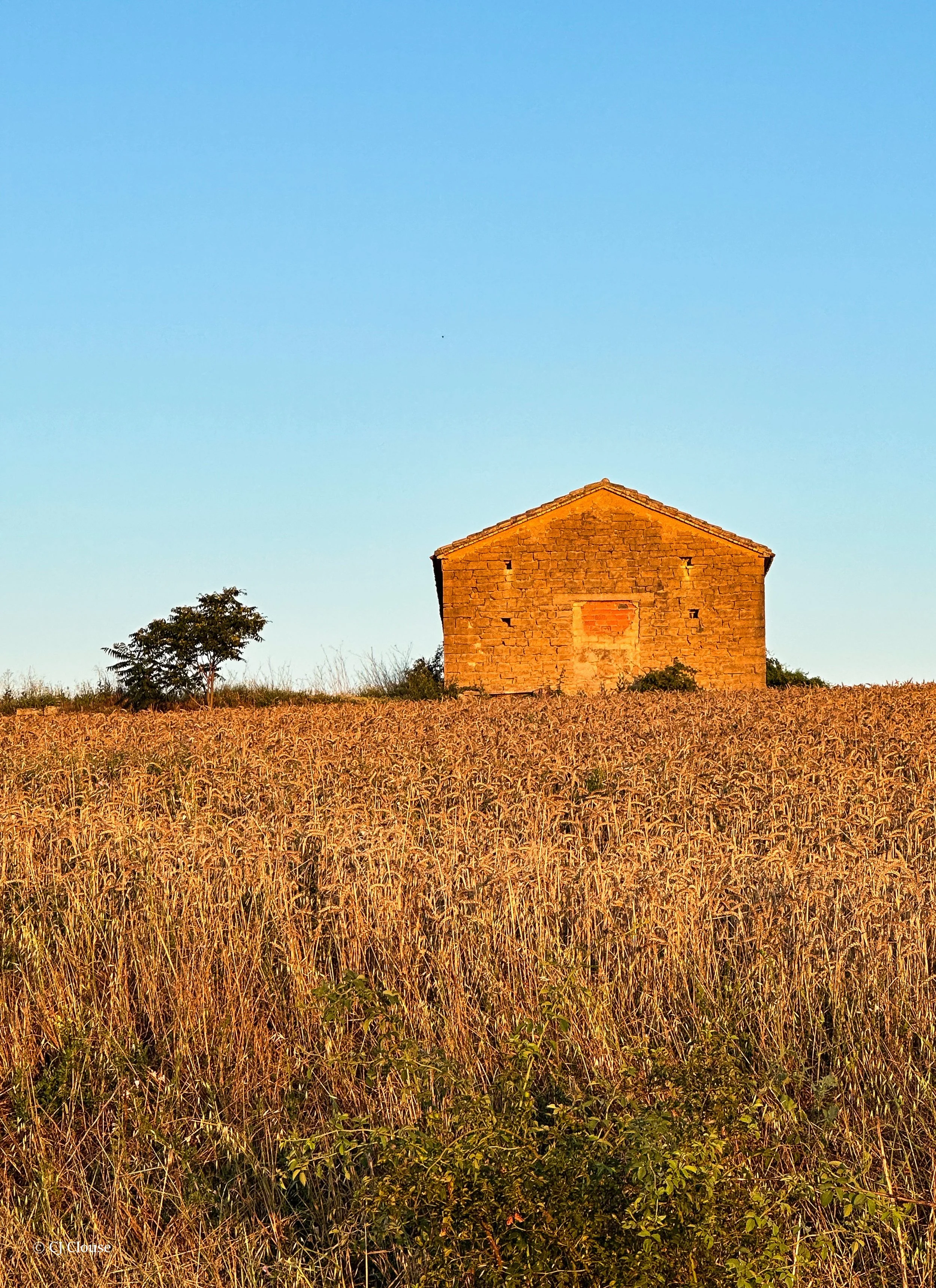 el camino tiny building .jpg