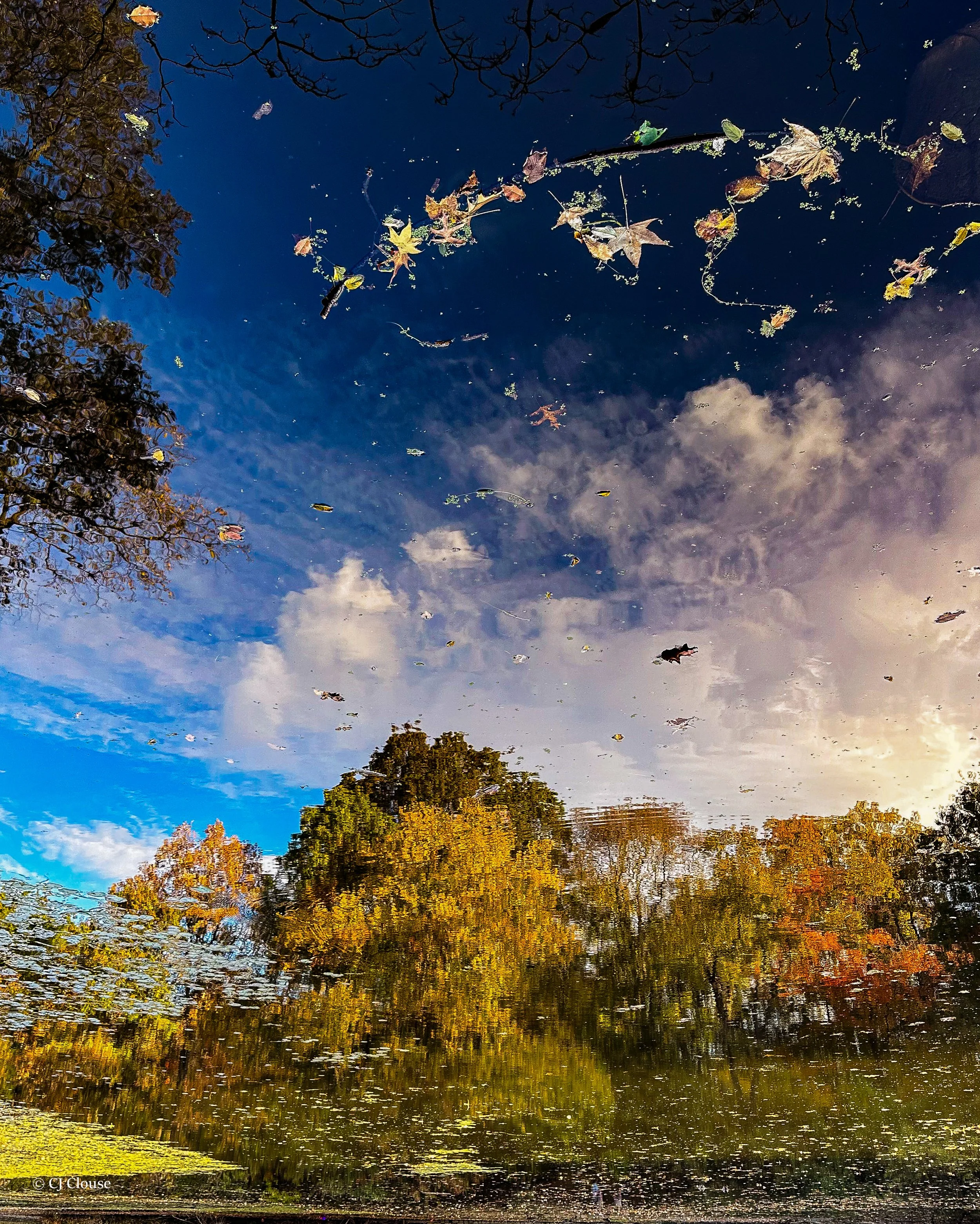 prospect reflections 3.jpg