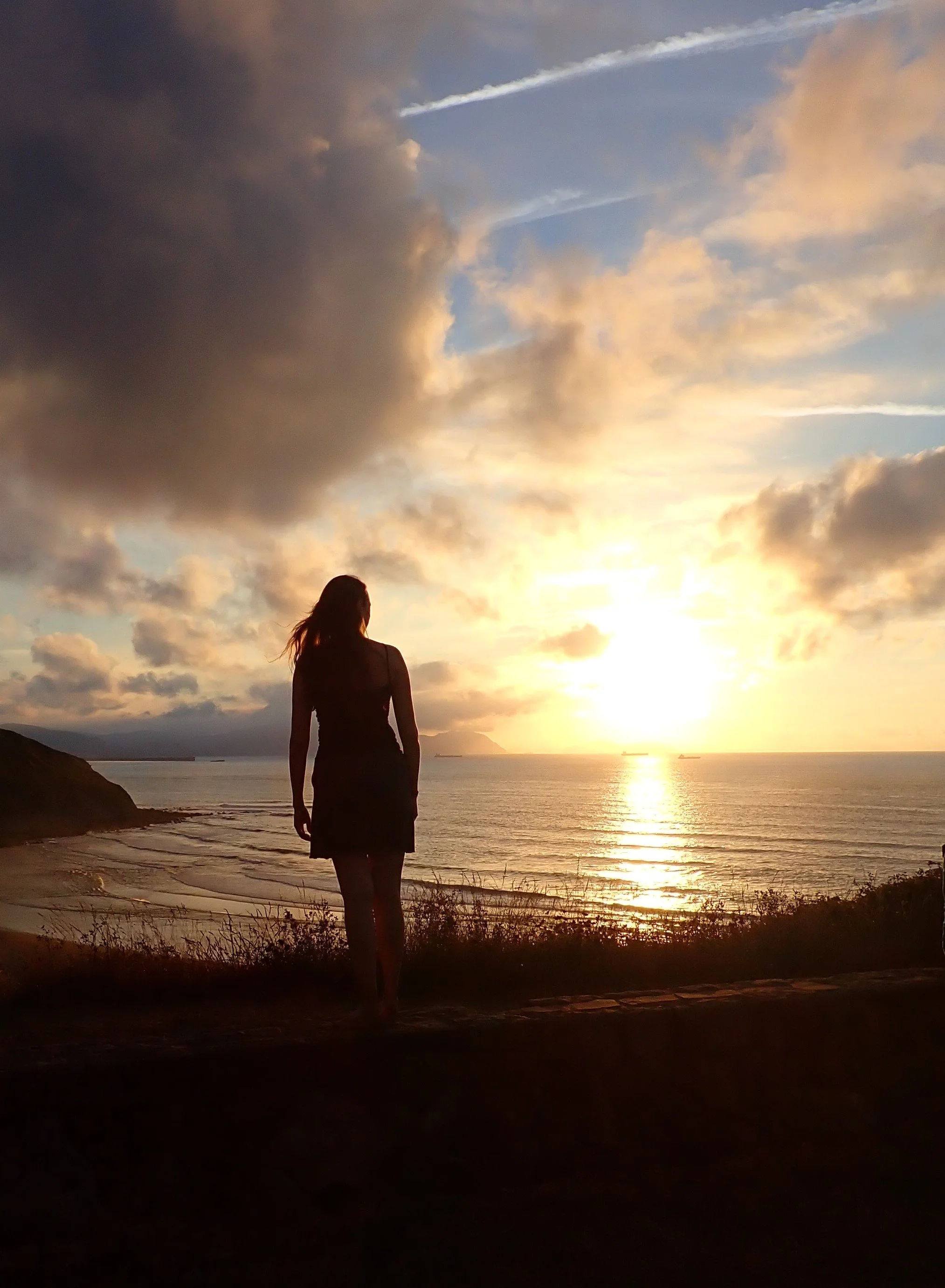 Janelle sillouette 2.JPG