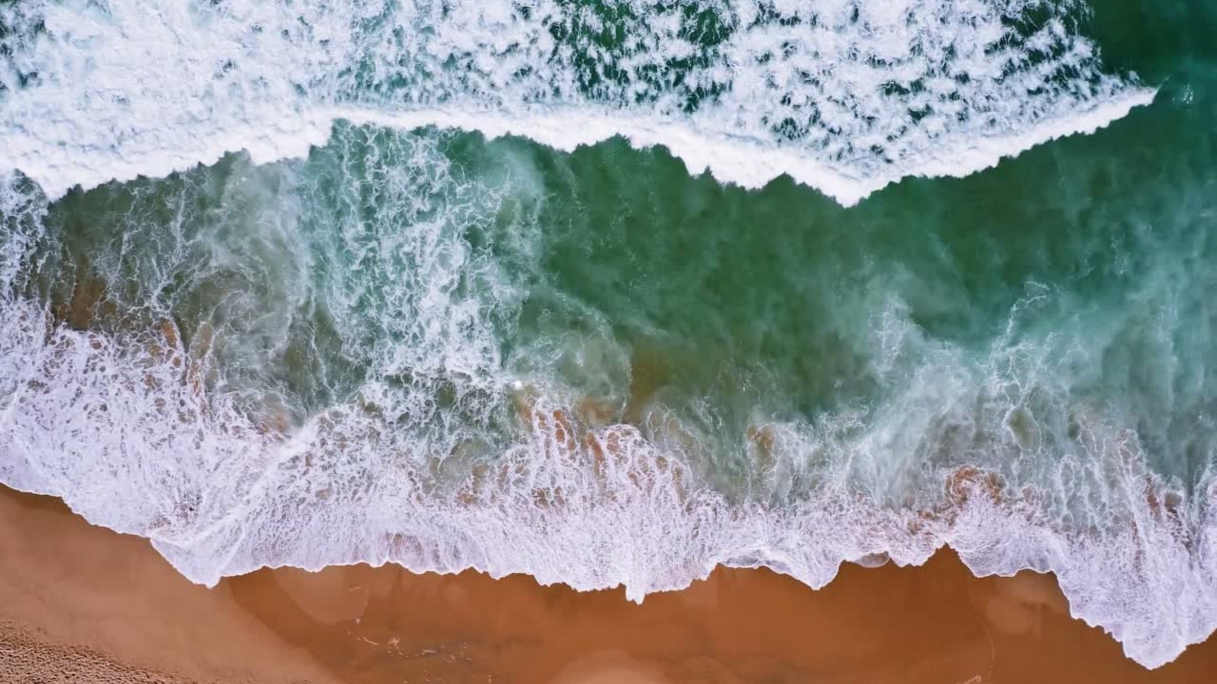 Web Main (2560 x 1440 px) No Logo.jpg