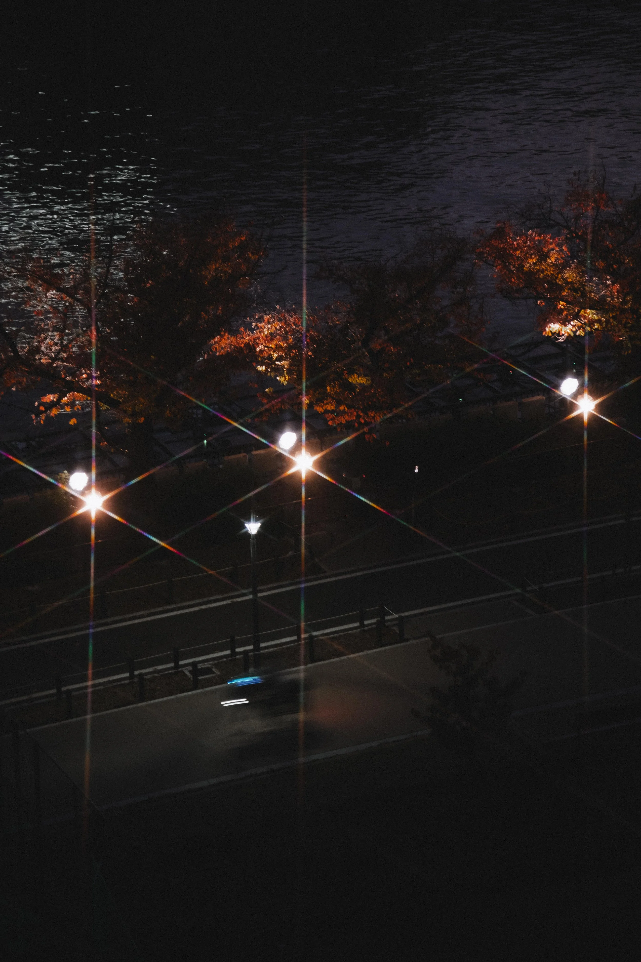 Osaka Night Bike Ride.jpg