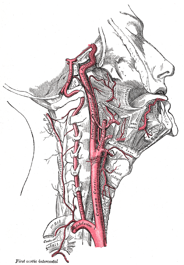 Carotid Sinus Hypersensitivity