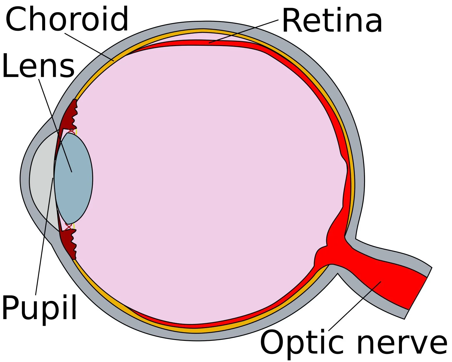Retinal detachment