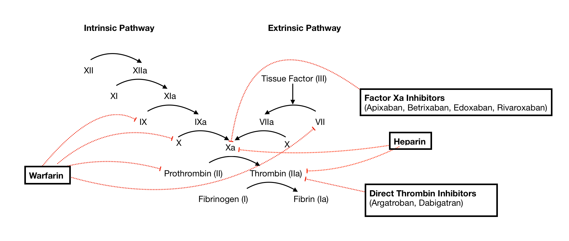 Anticoagulation