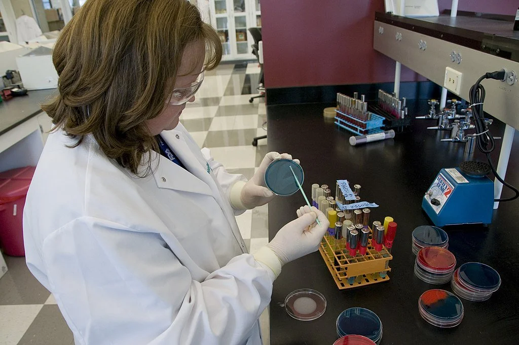 Salmonella Infection