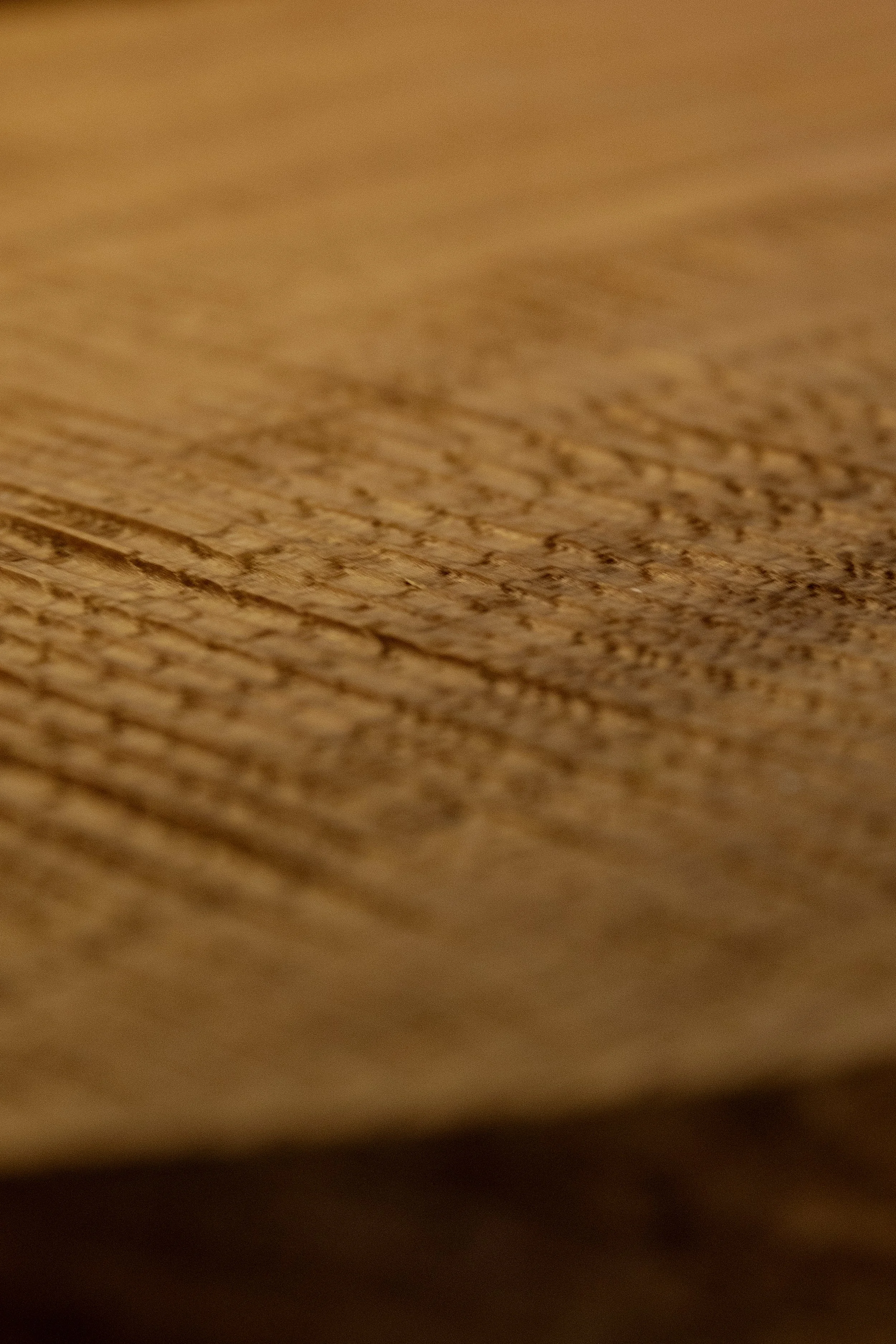 Photo by Viviana Berti