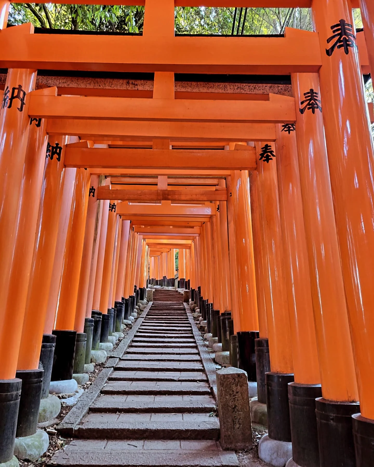 A must when in Kyoto ⛩️

#kyoto #Japan #shrine #travel