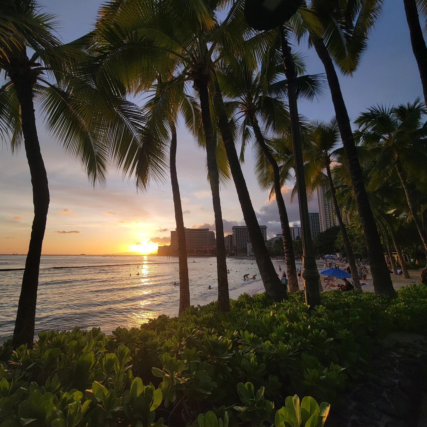 Hawaii

#Hawaii #honolulu #waikiki #sunset #ocean