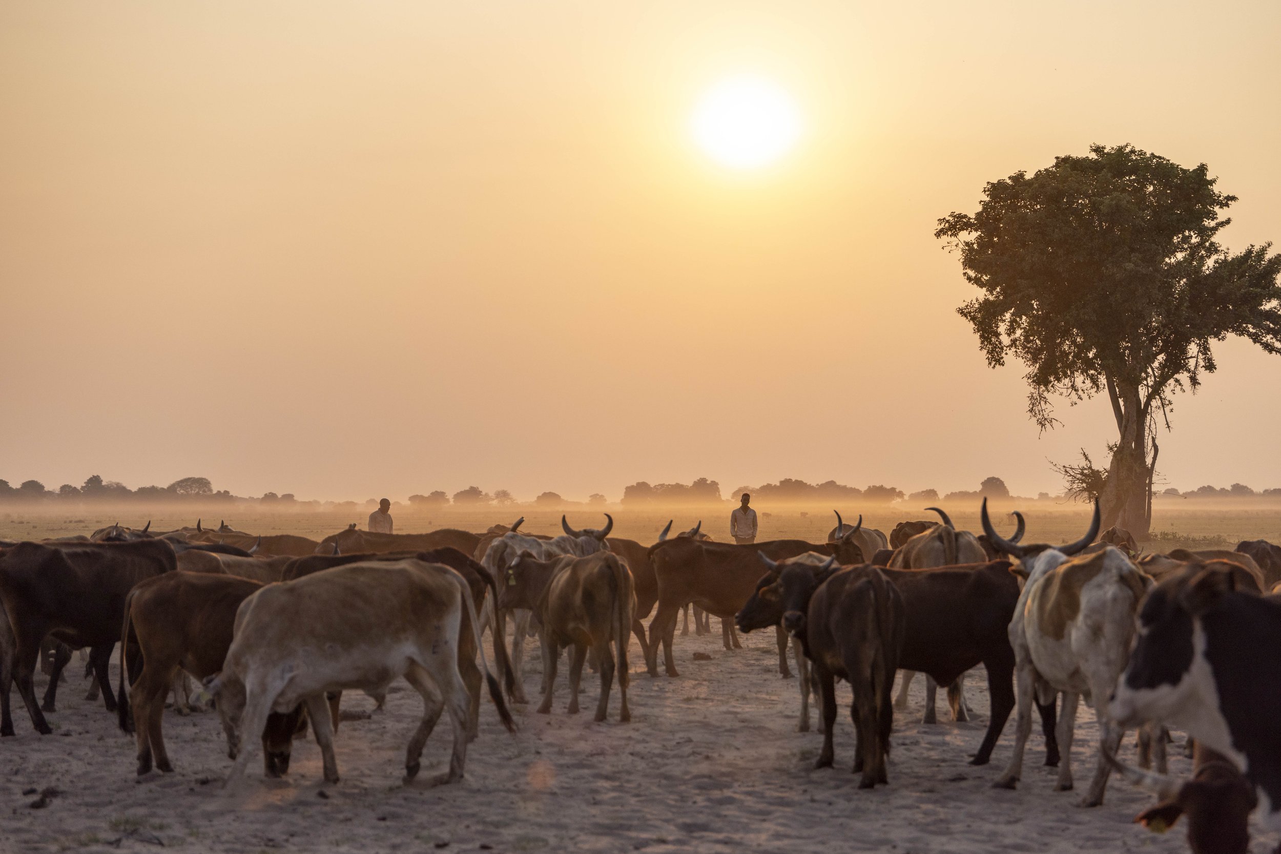 Building Value from Coexistence