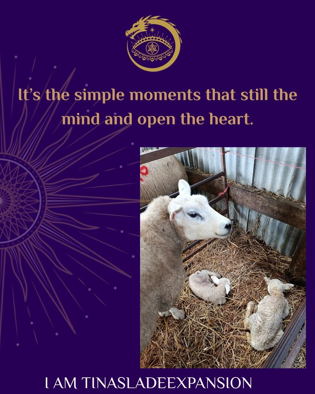 It&rsquo;s amazing how a simple moment like this can make you stop, notice, and feel how much life is happening quietly all around us, how patience and presence quietly shape everything, and how connection often shows up in the smallest, most ordinar