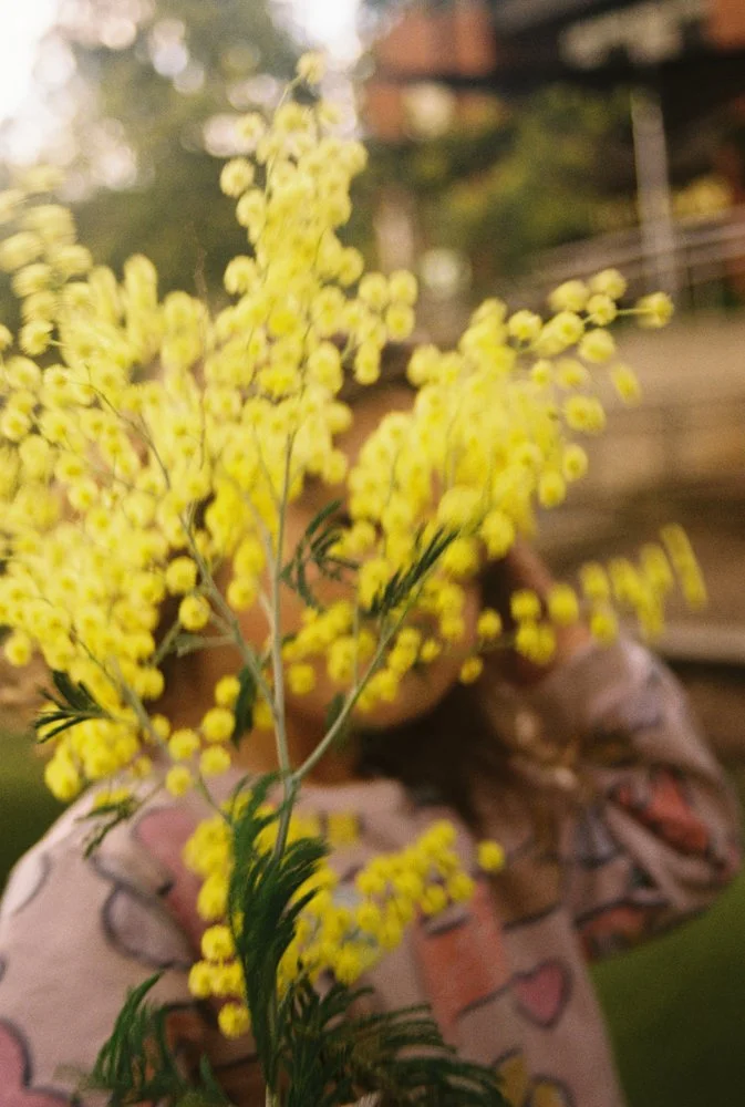 everyday-exotic-child-blossoms.jpg.jpg