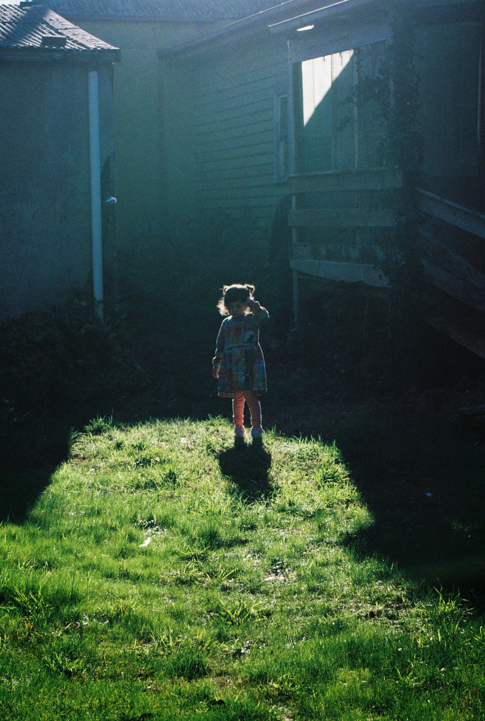 Zanzi In The Grass.001.jpg