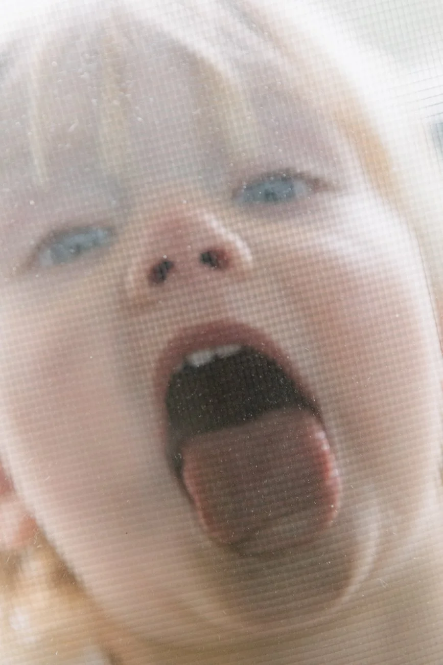 family-portraiture-child-licking-window-mesh.001.jpg