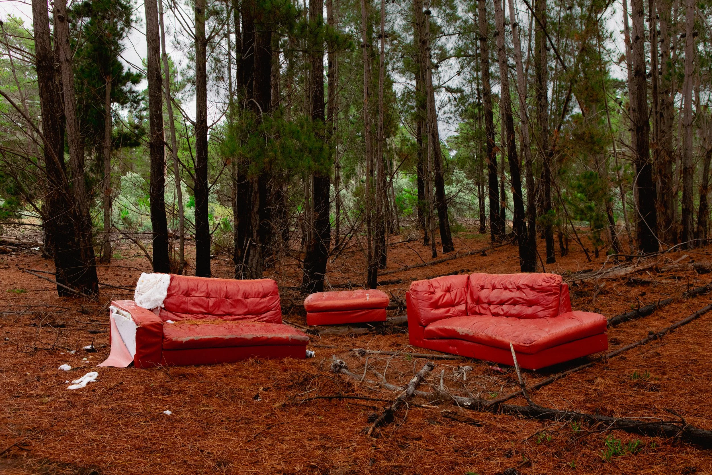 Red Couch.001.jpg